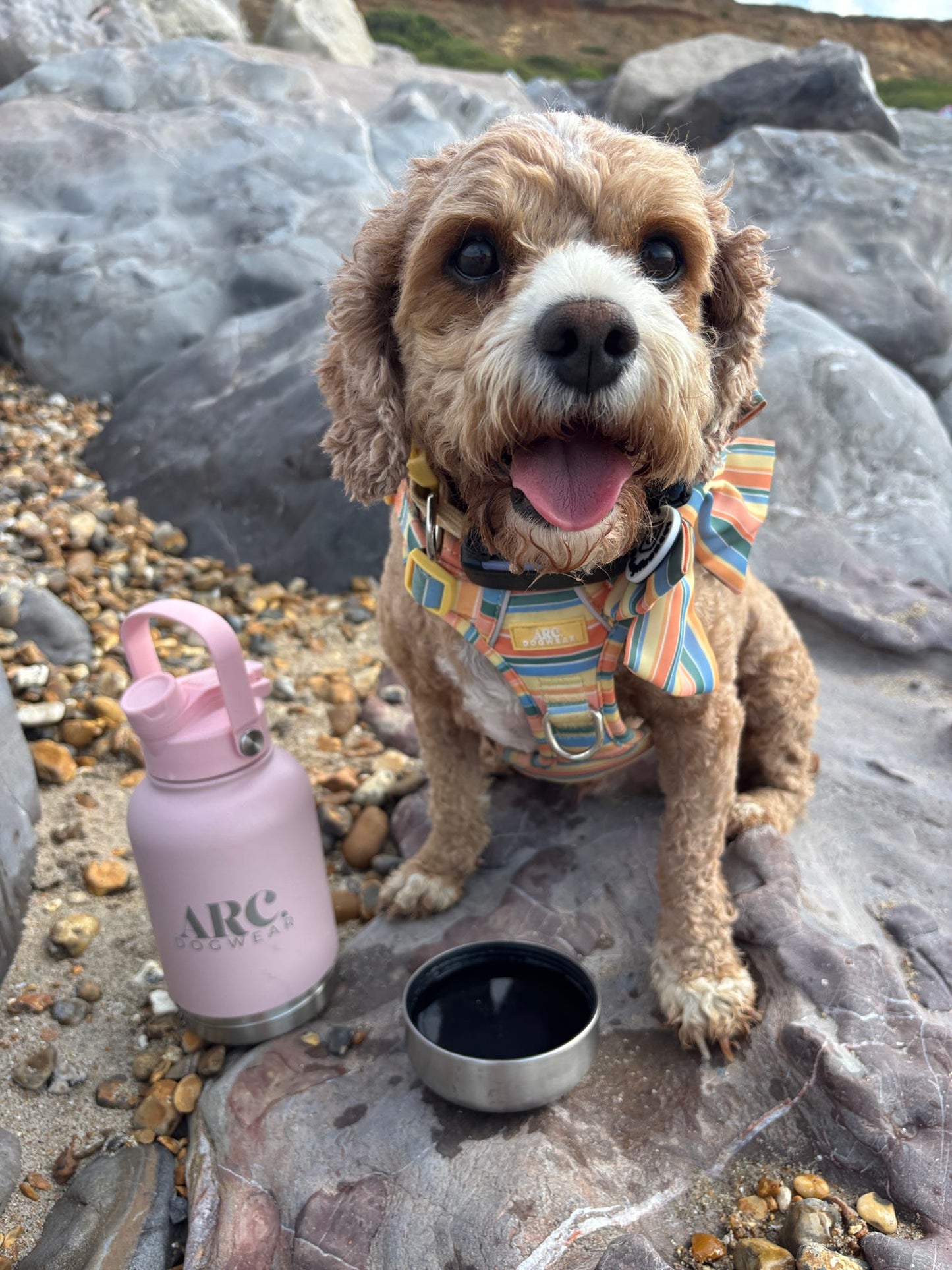 The Venture Bottle