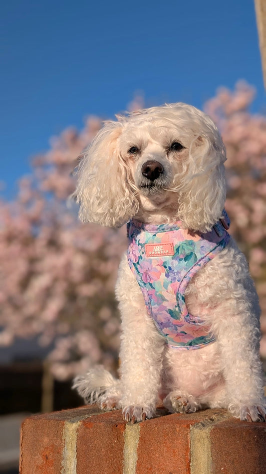 Mellie's Meadow Adjustable Harness