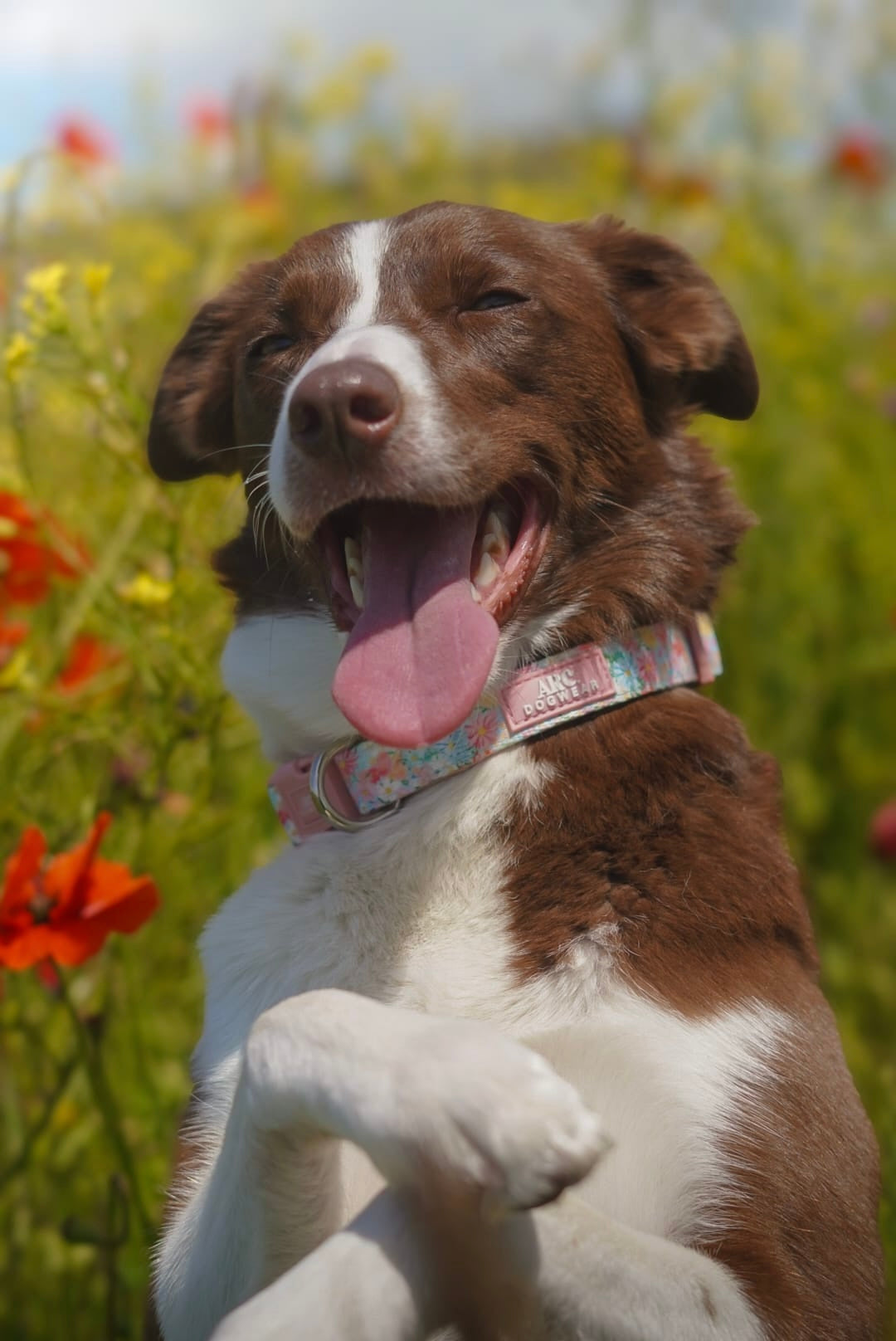 Flora Adjustable Collar