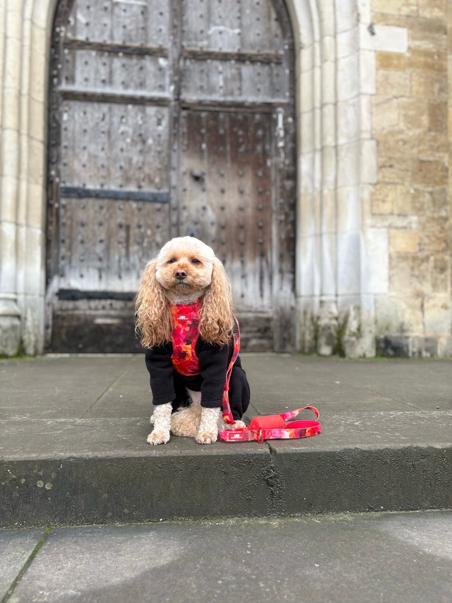 Ember Adjustable Harness