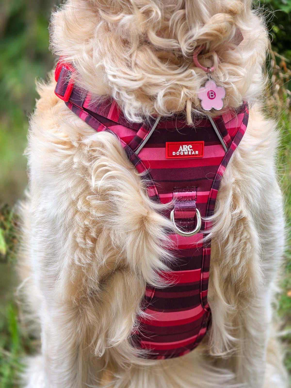Bramble ARC. Adventurer Harness - New Size Guide