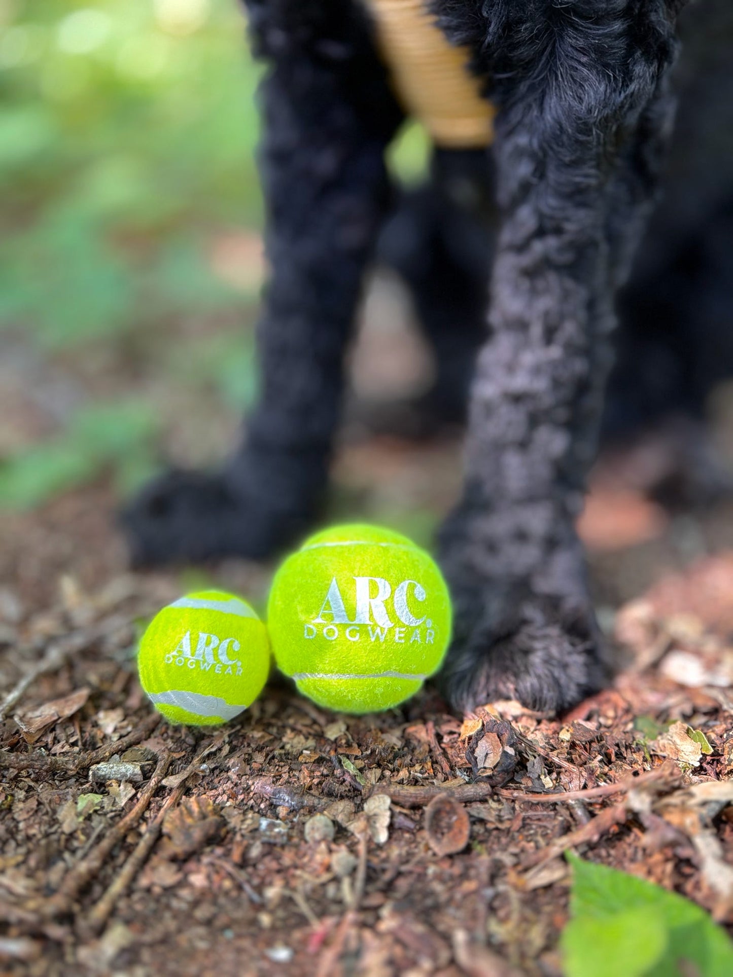 The Venture Ball