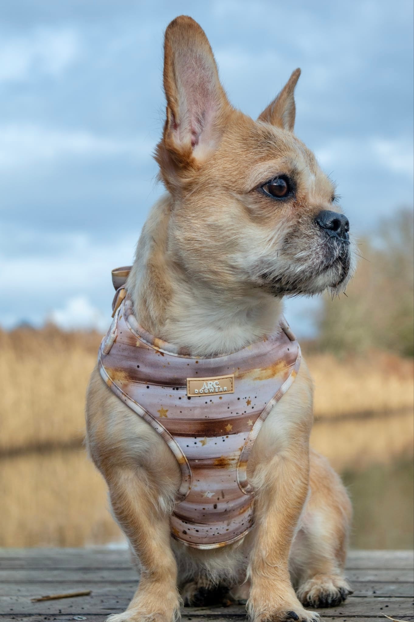 Starlight Adjustable Harness