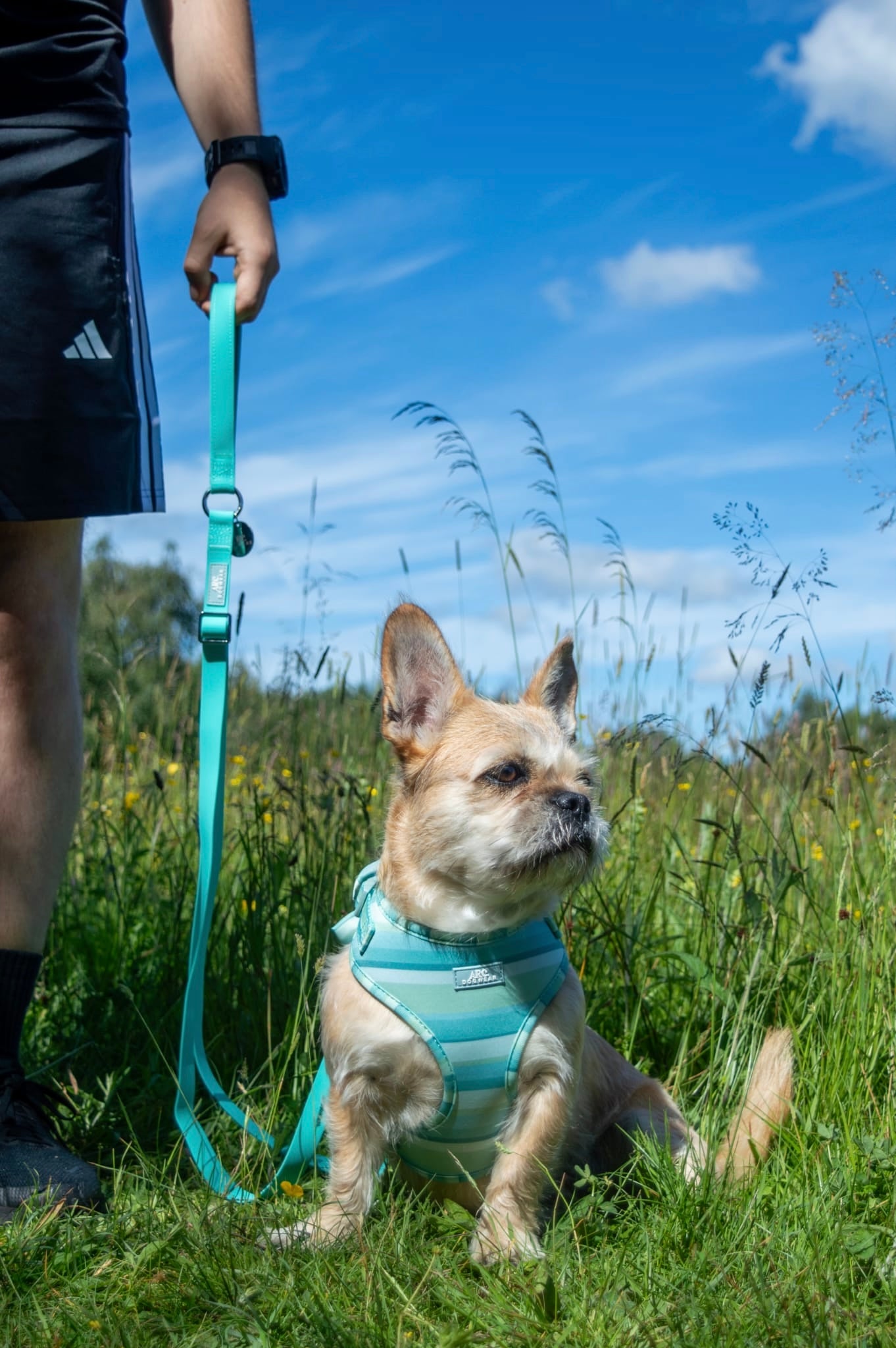All-Weather Adjustable Lead