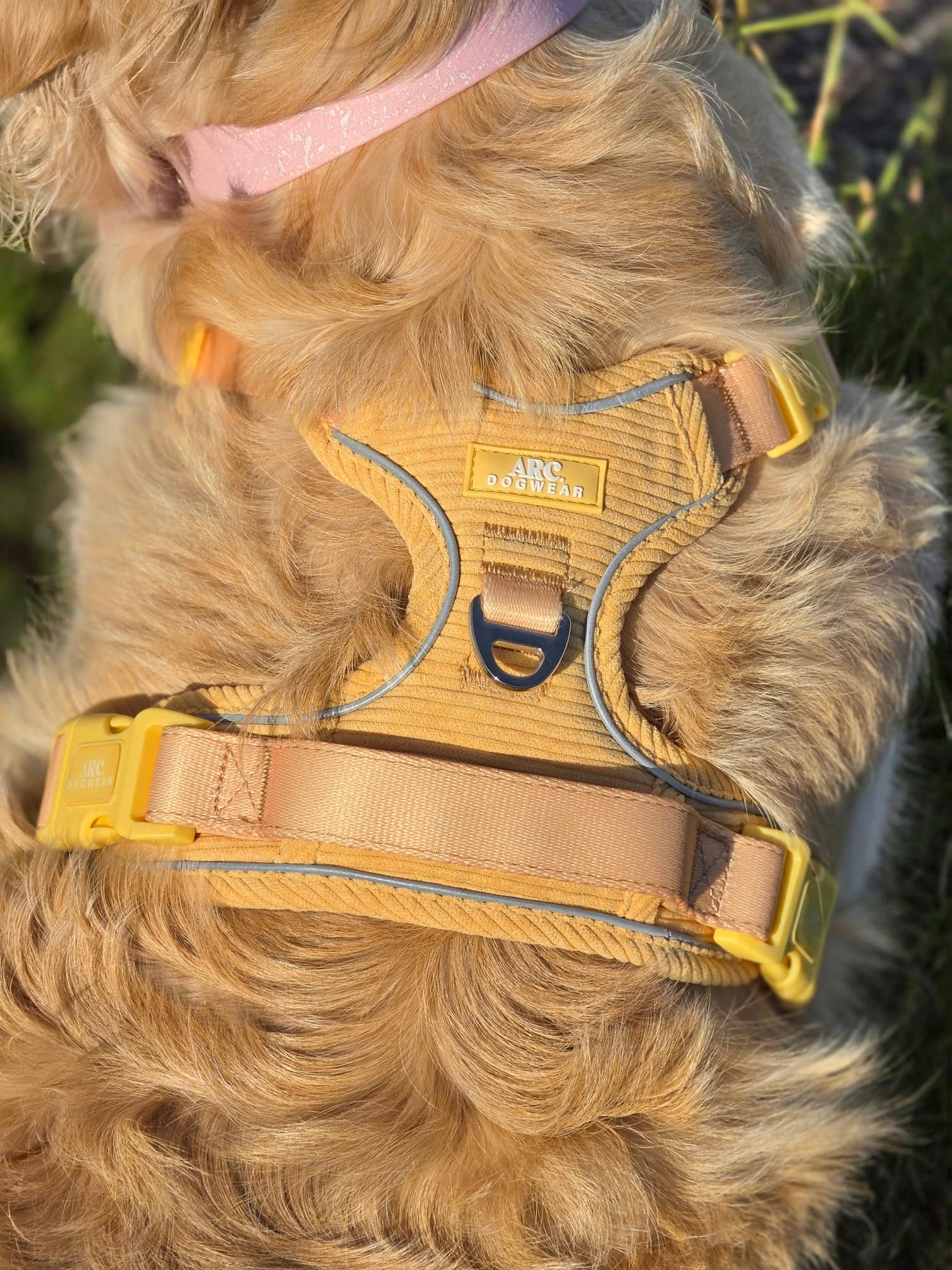Sol ARC. Adventurer Harness (Corduroy)