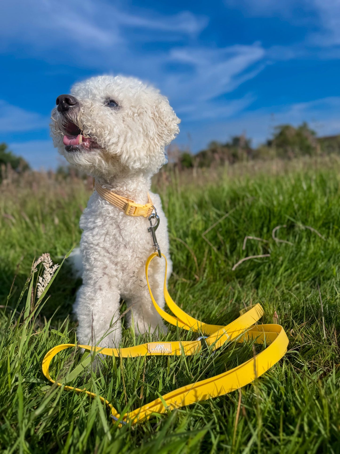 All-Weather Adjustable Lead