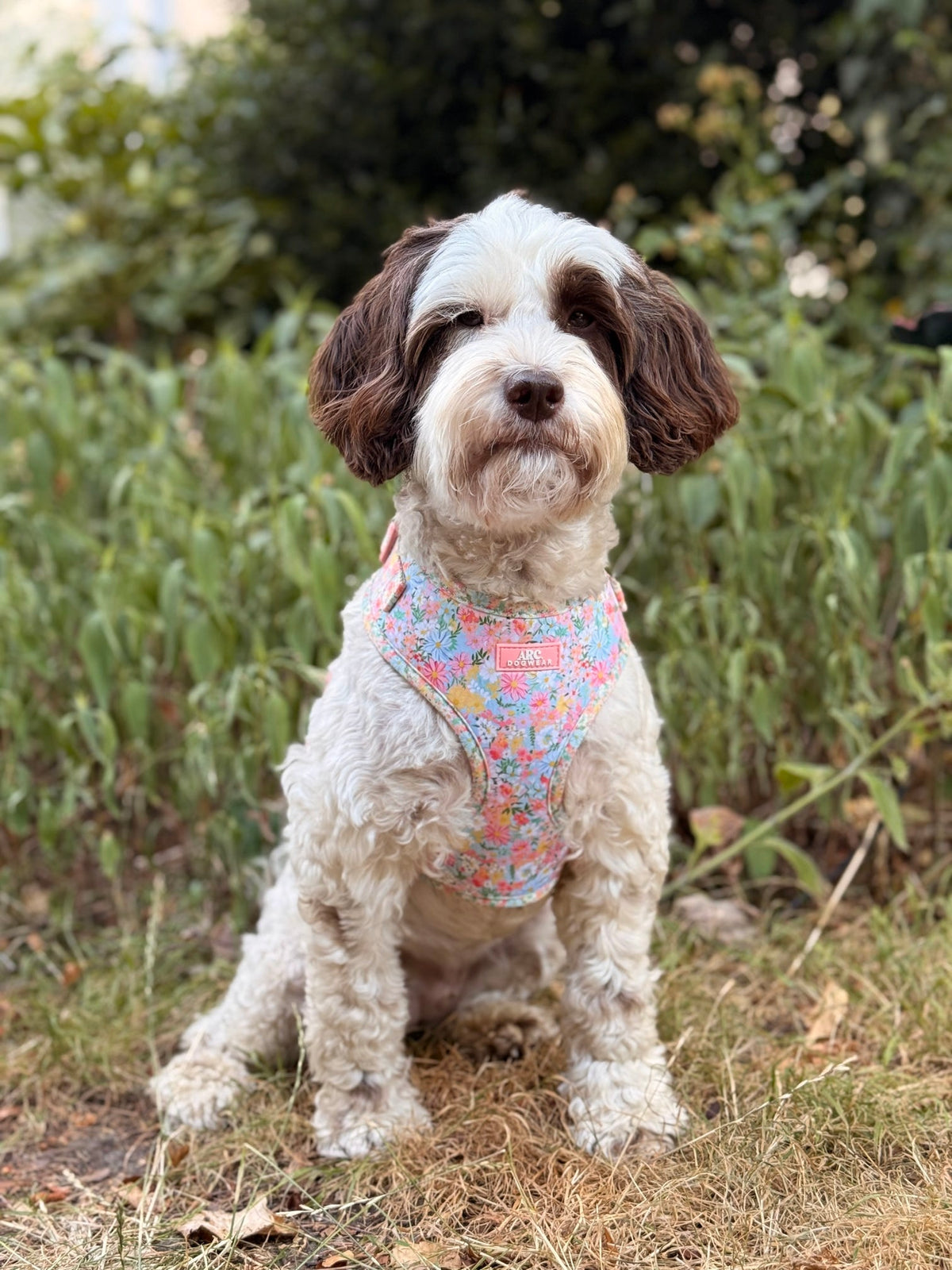 Flora Adjustable Harness
