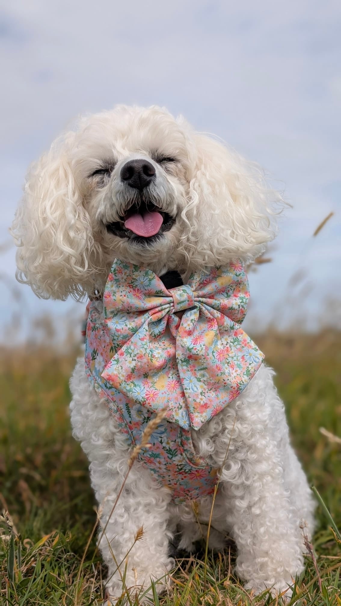Flora Sailor Bow (Longer Tails)