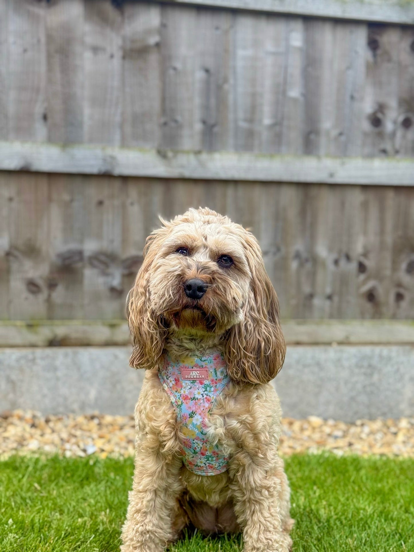Flora Adjustable Harness
