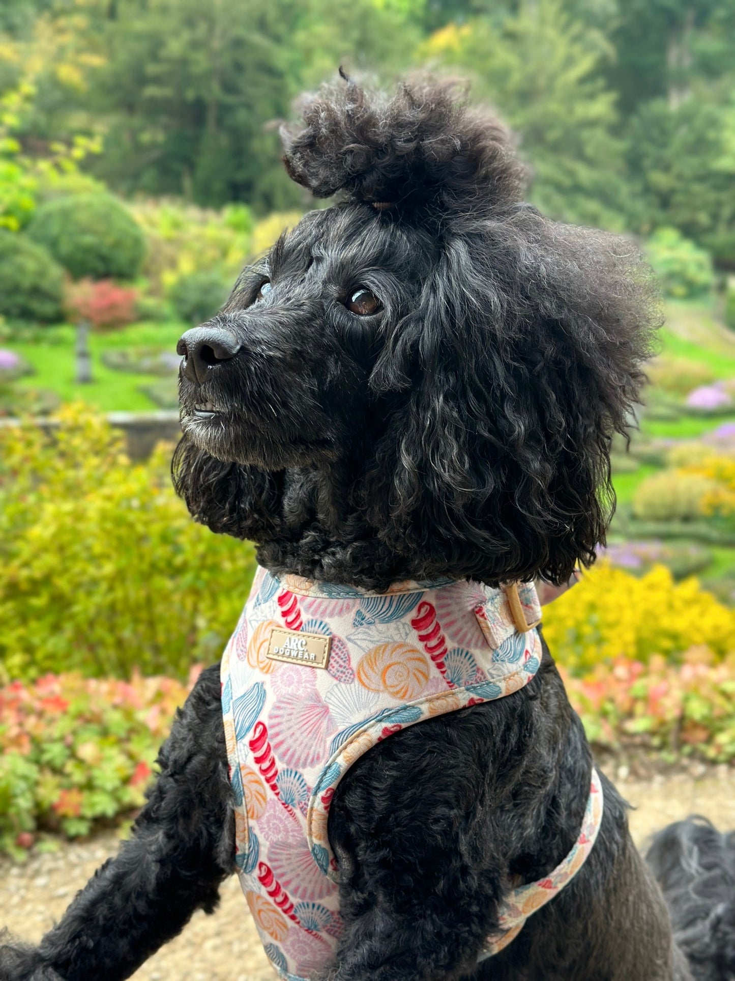 Say-Shells Adjustable Harness