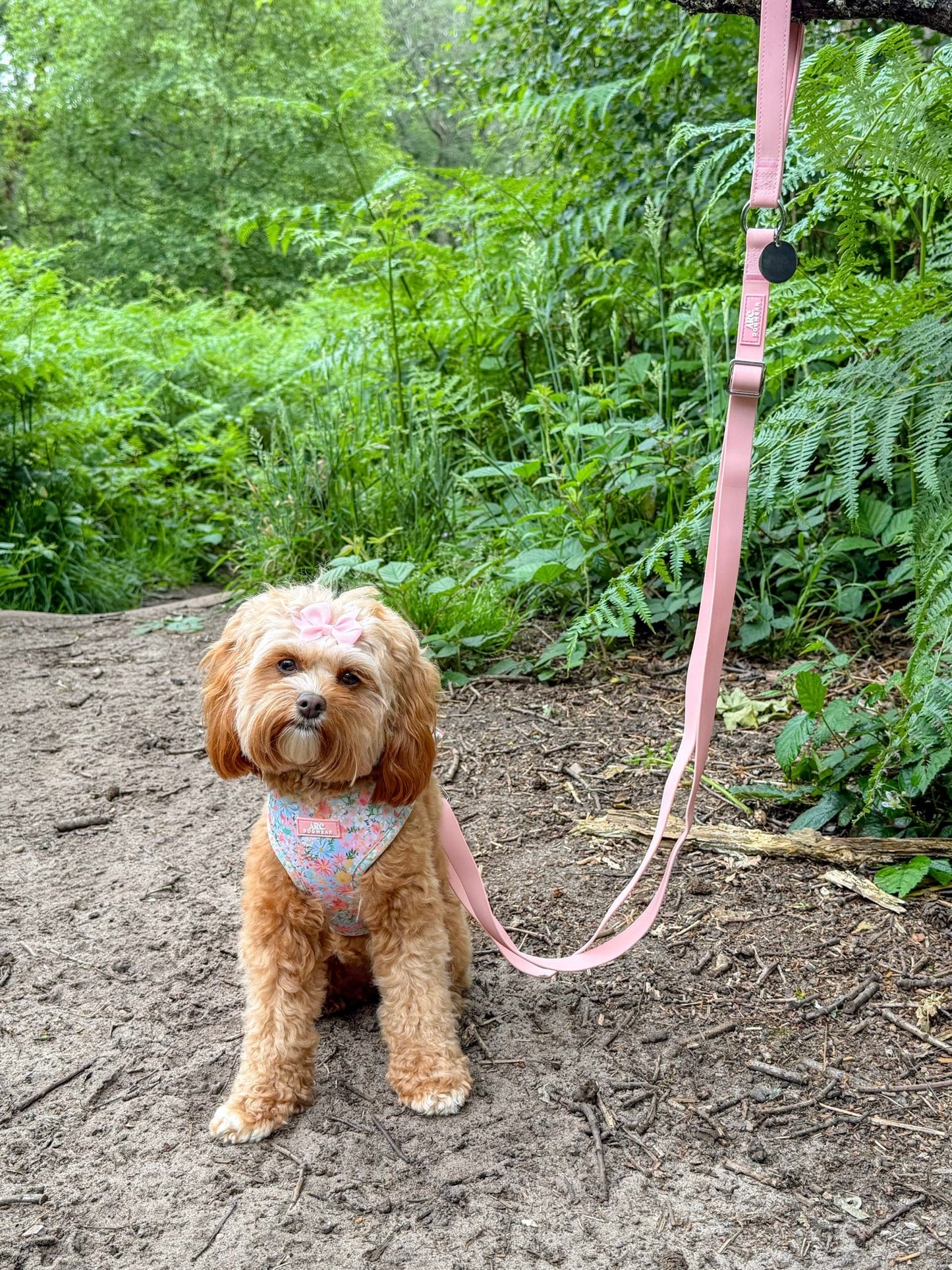 All-Weather Adjustable Lead