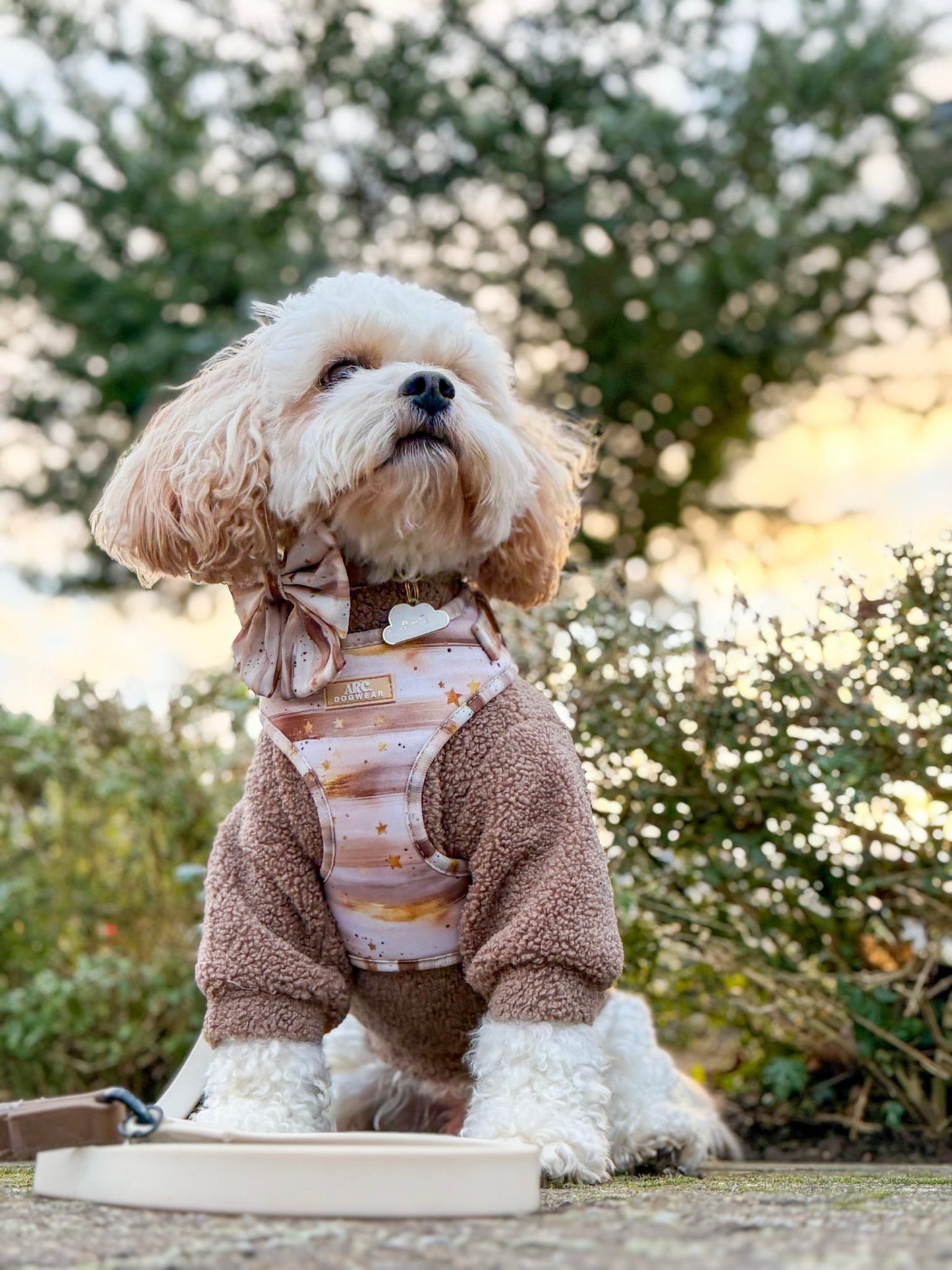 Starlight Adjustable Harness