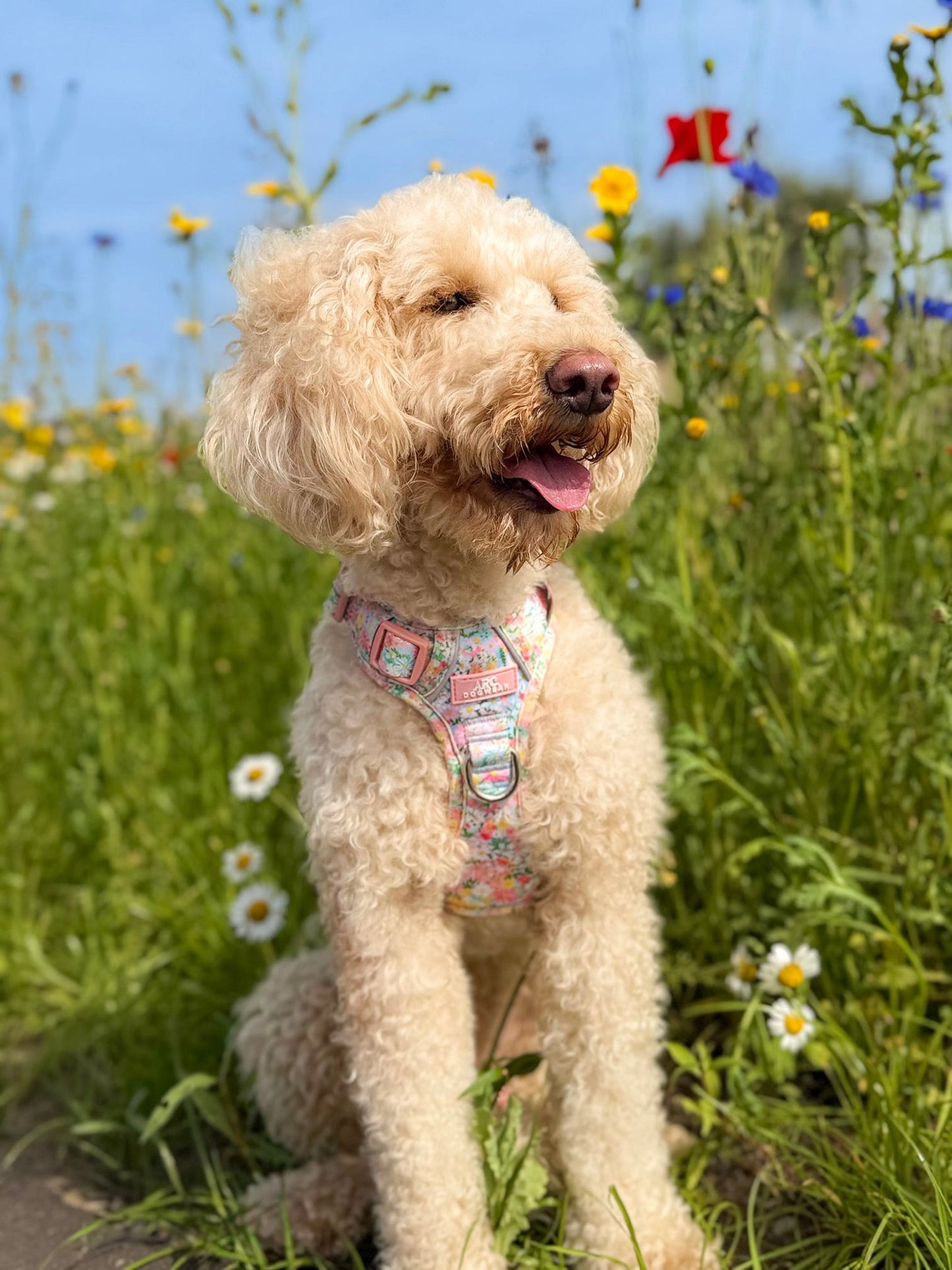Flora ARC. Adventurer Harness