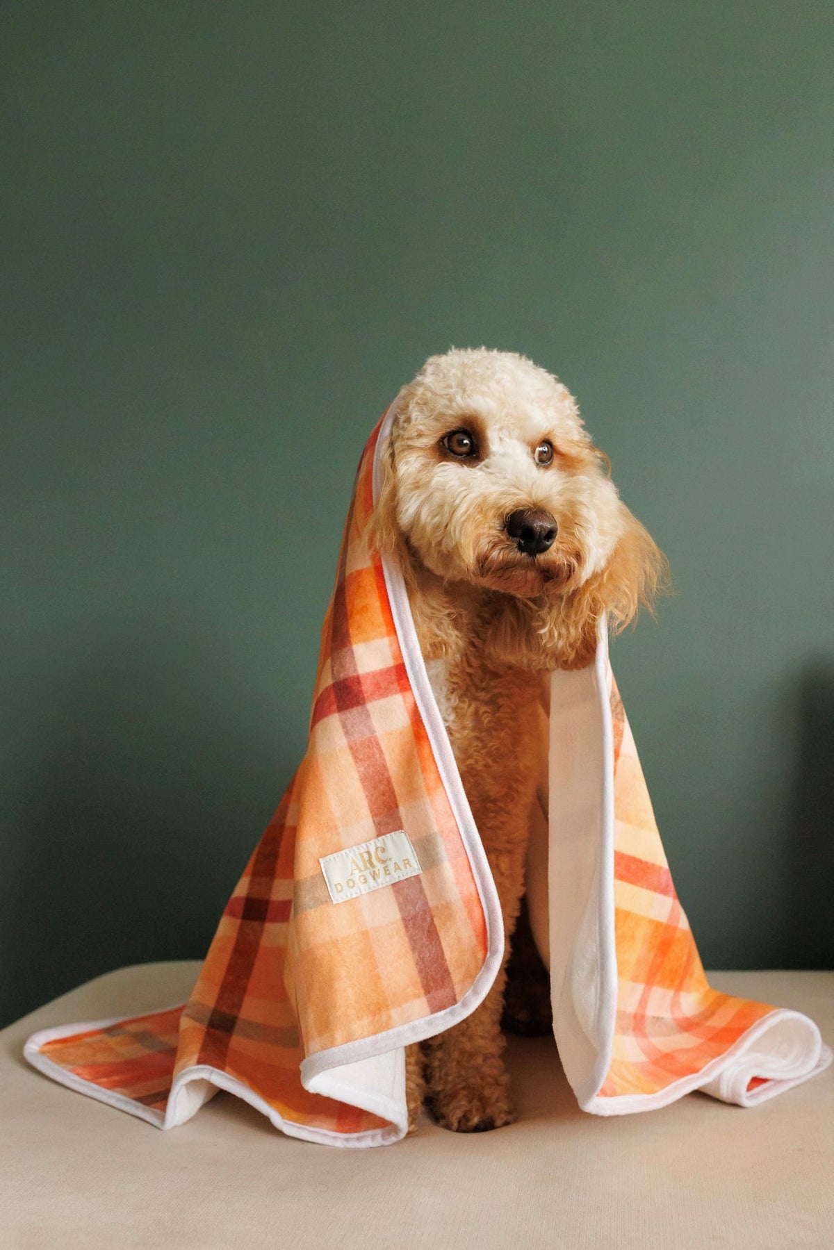 Harvest Pet Blanket