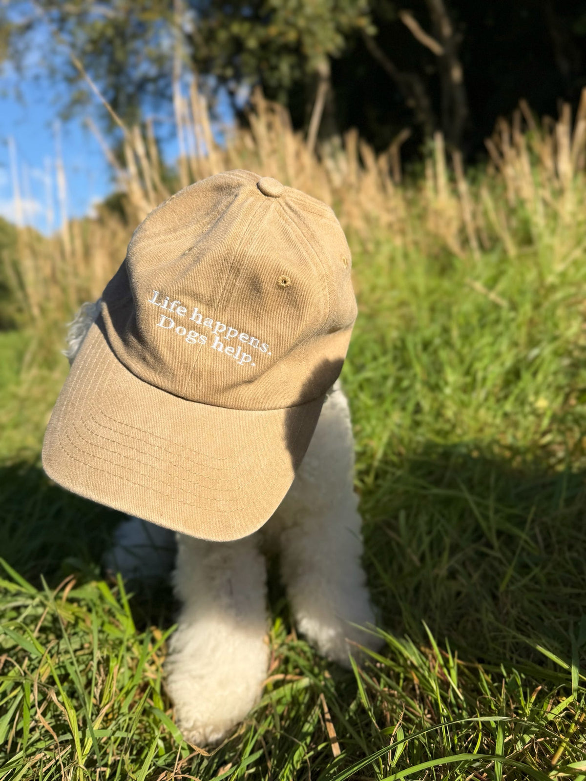 The Venture Cap
