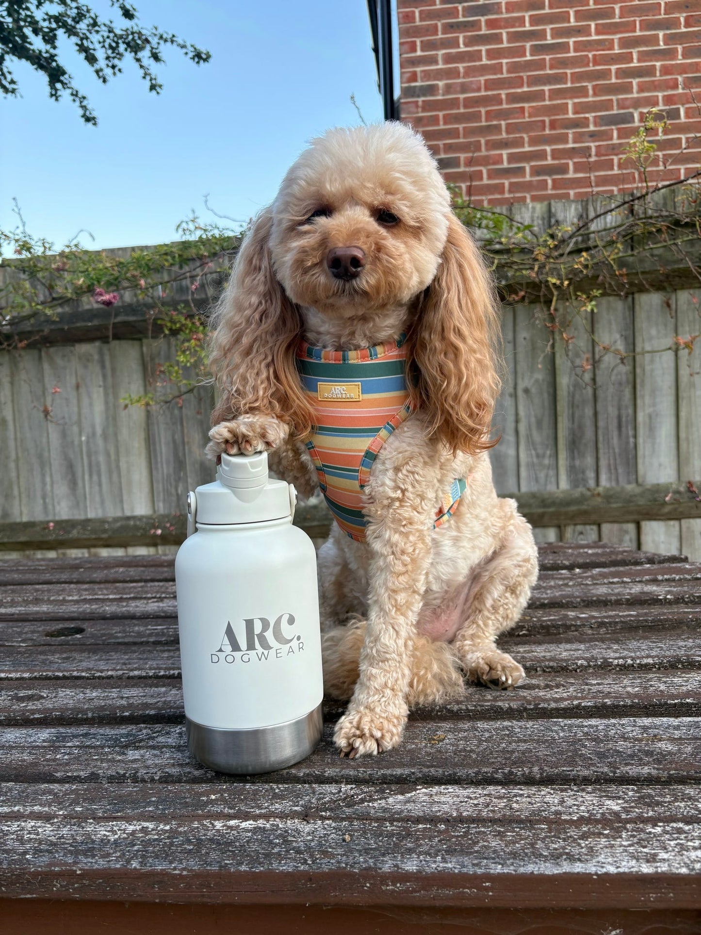 The Venture Bottle