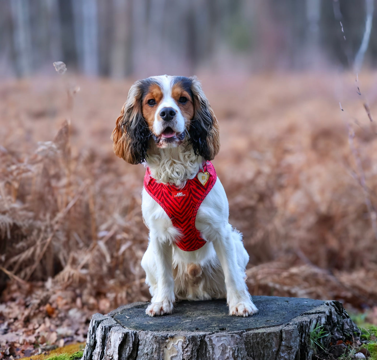 Wild at Heart Adjustable Harness