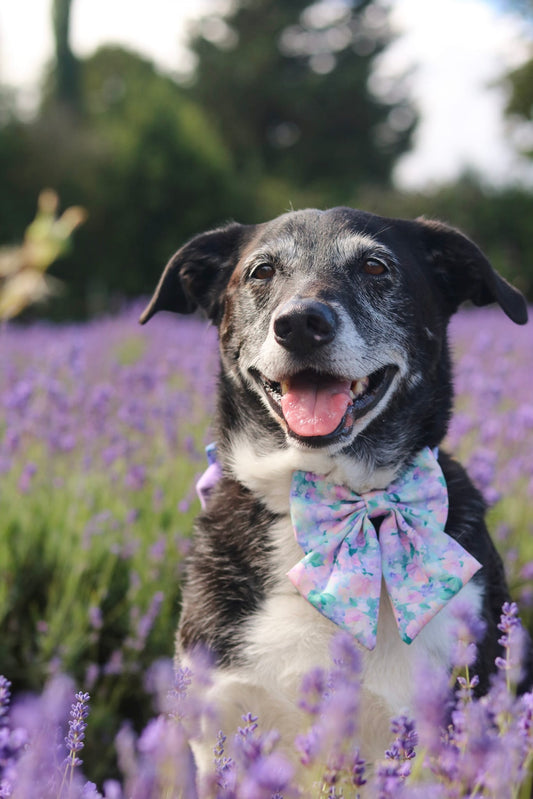 Mellie's Meadow Sailor Bow (Longer Tails)
