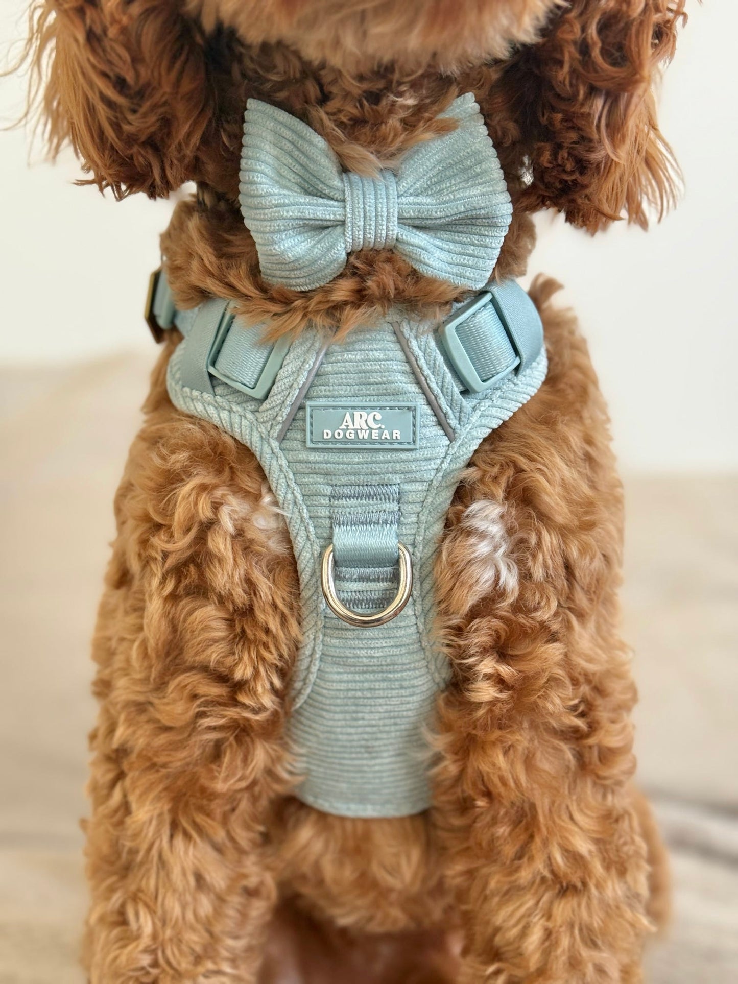 Celadon Bow Tie (Corduroy)