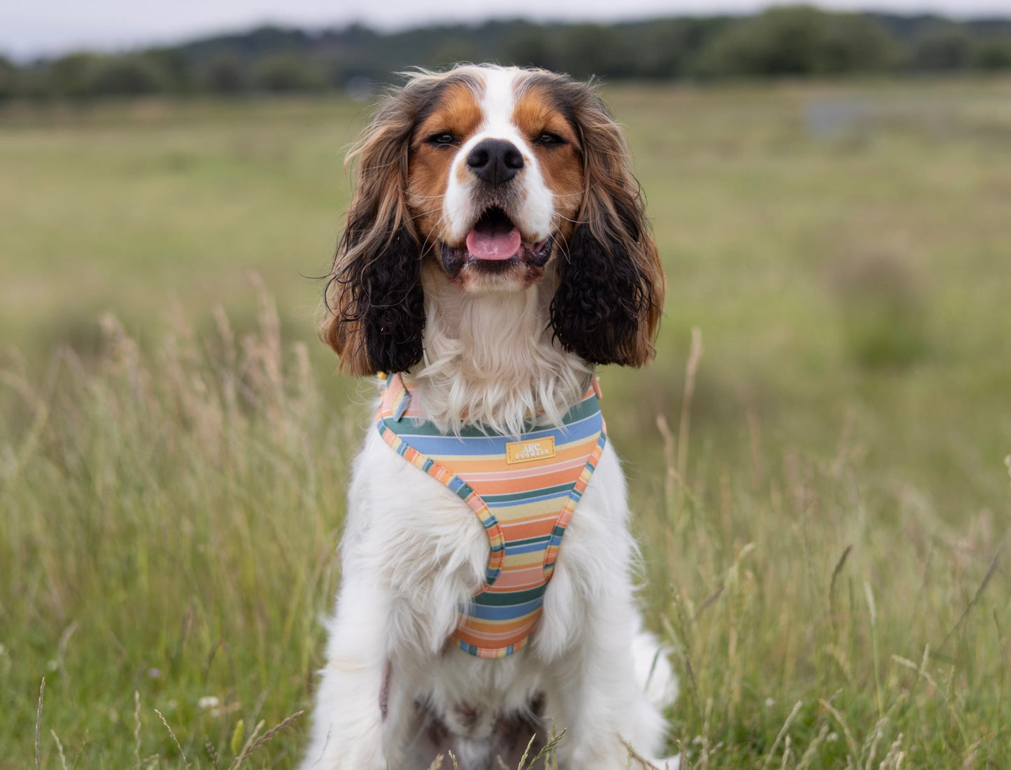 Sete Adjustable Harness
