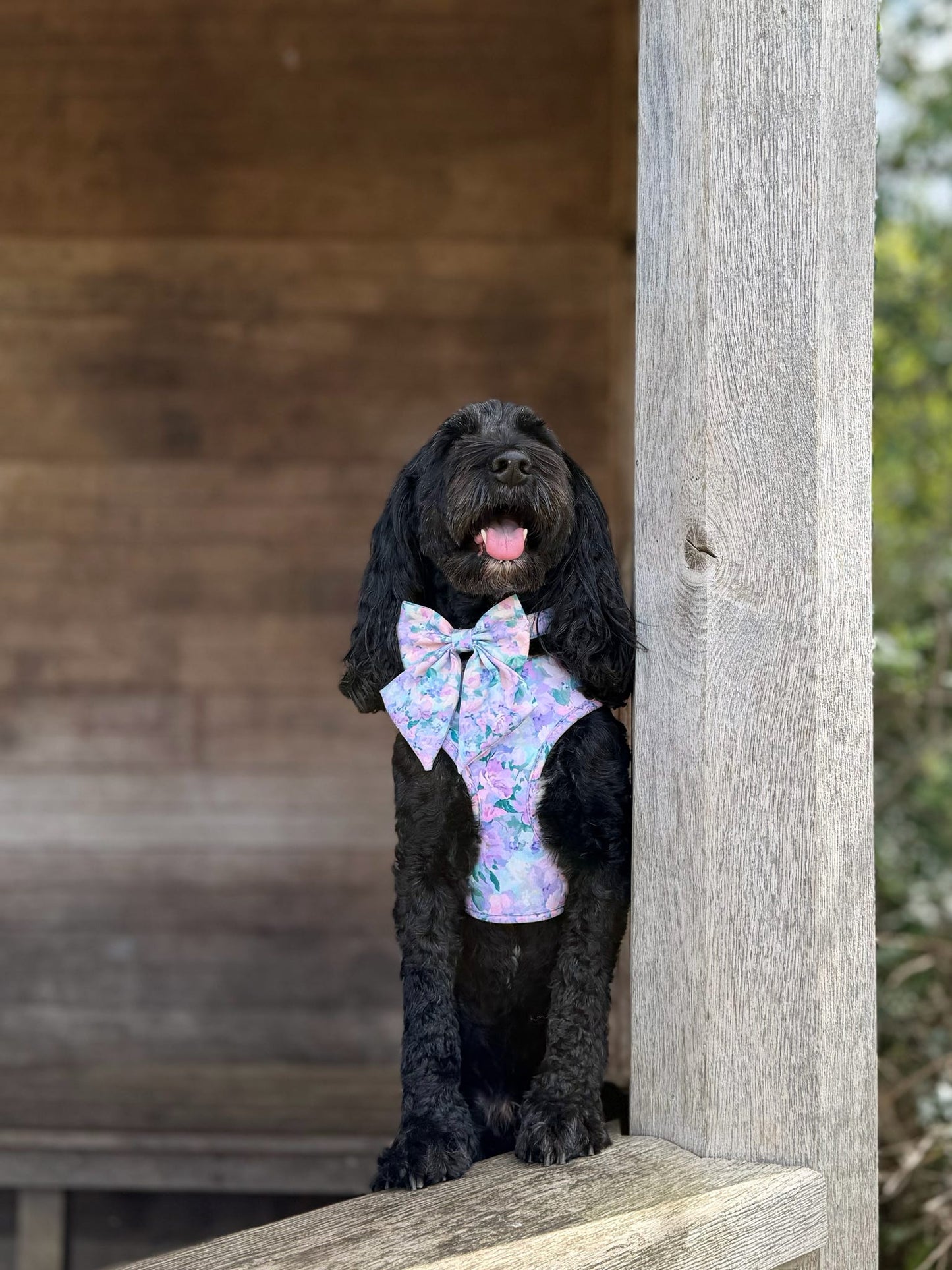 Mellie's Meadow Adjustable Harness