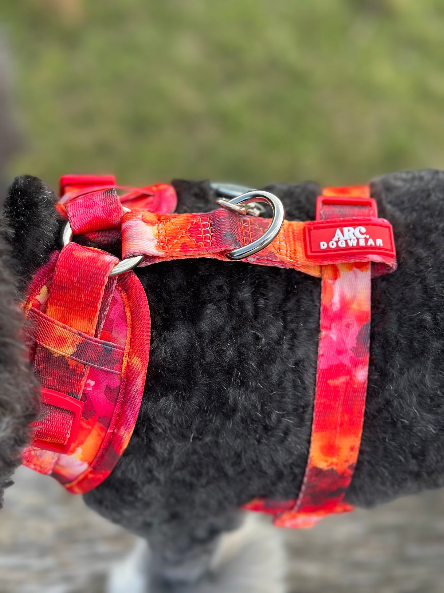 Ember Adjustable Harness
