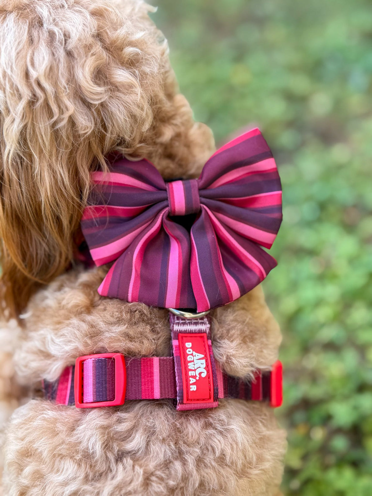 Bramble Sailor Bow