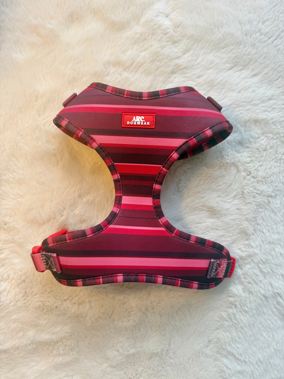 Second Chance - Bramble M Adjustable Harness