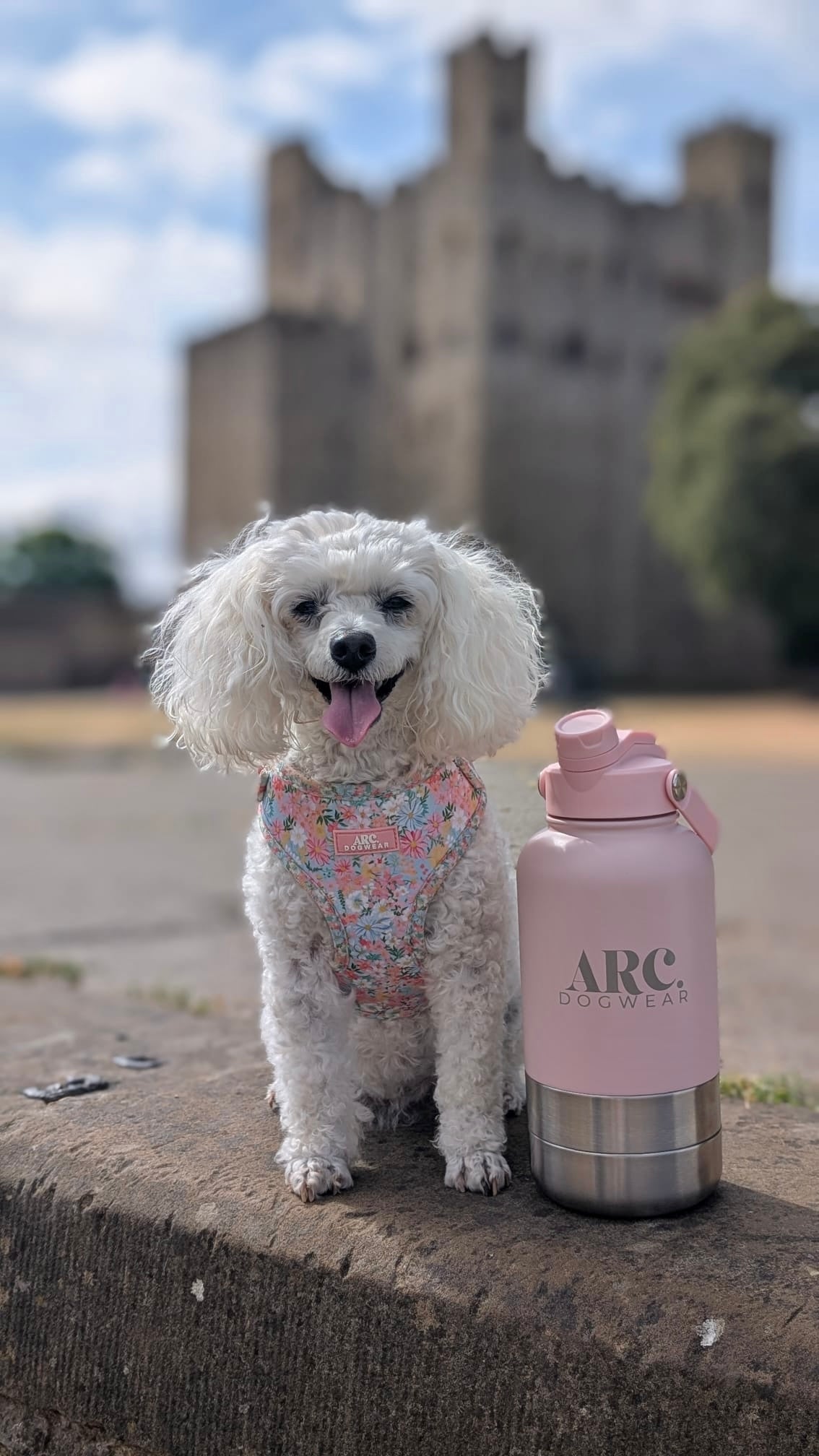 The Venture Bottle