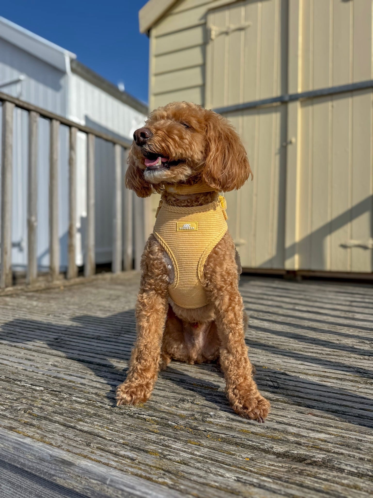 Sol Adjustable Harness (Corduroy)