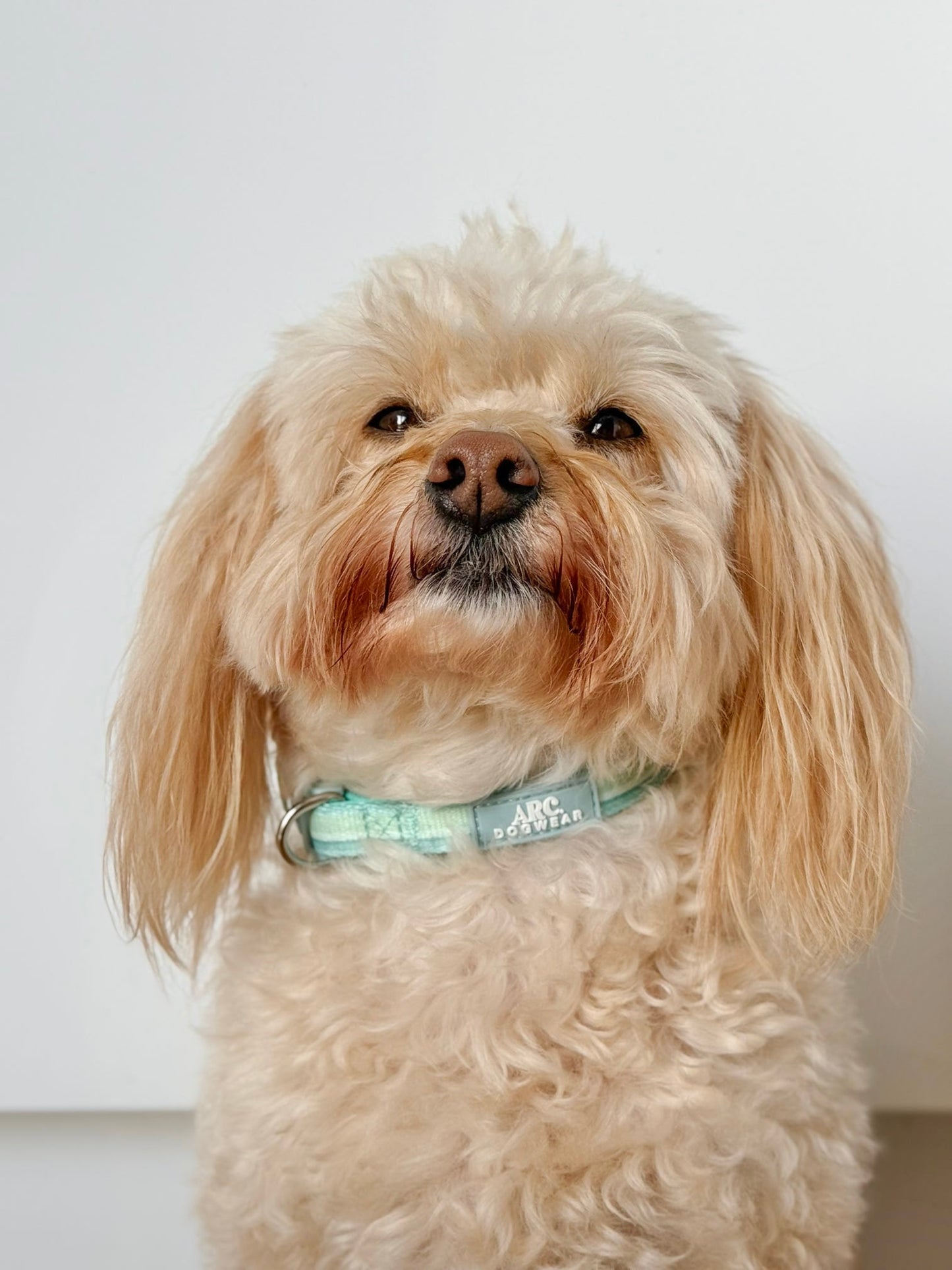 Vista Adjustable Collar