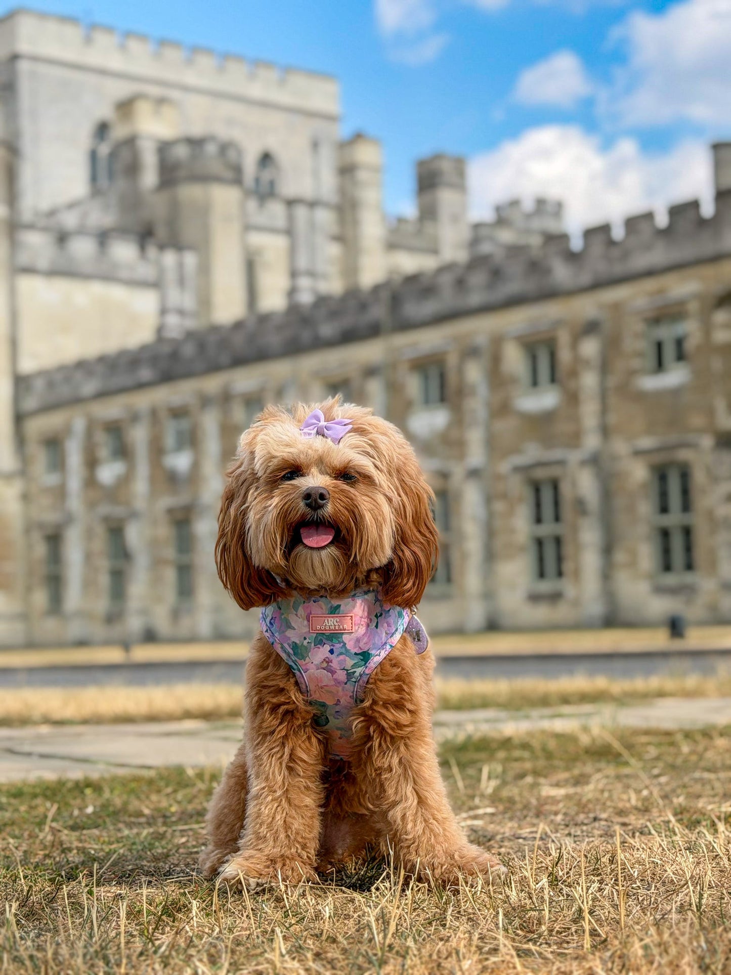Mellie's Meadow Adjustable Harness