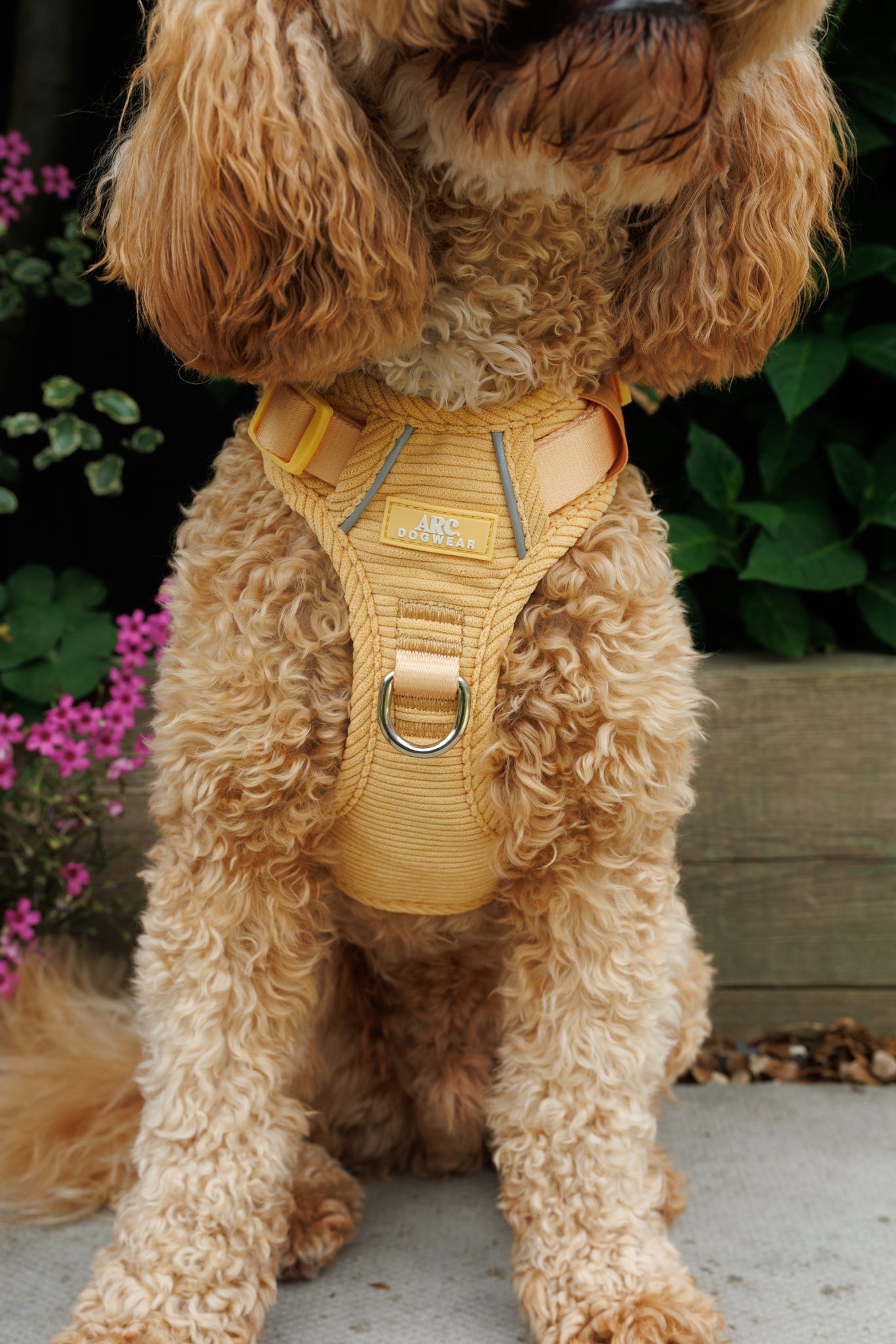 Sol ARC. Adventurer Harness (Corduroy)