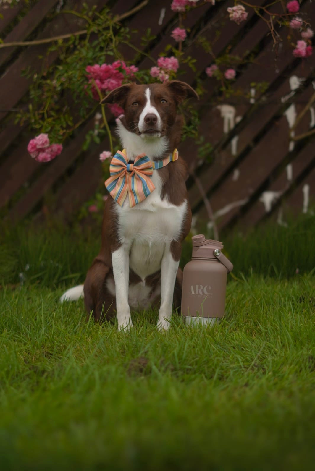 The Venture Bottle