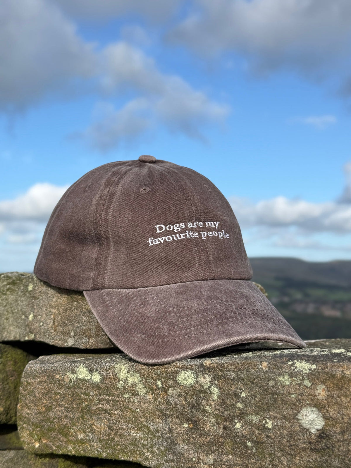 The Venture Cap