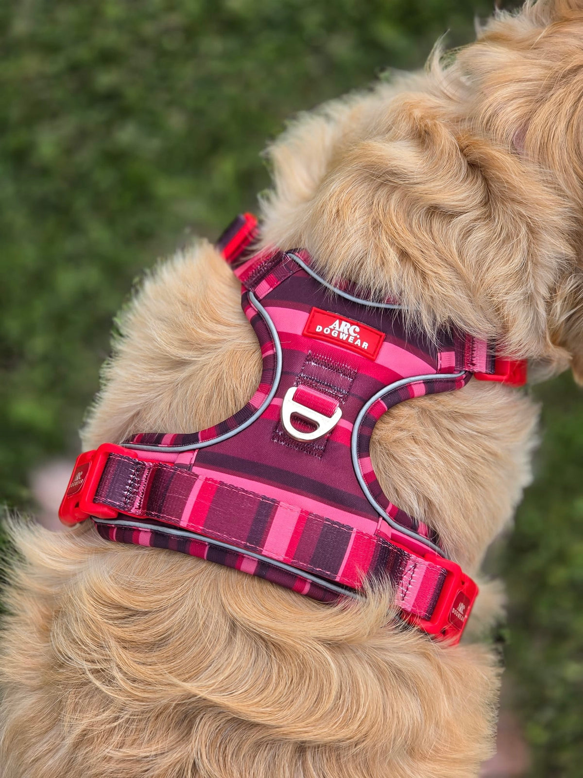 Bramble ARC. Adventurer Harness - New Size Guide
