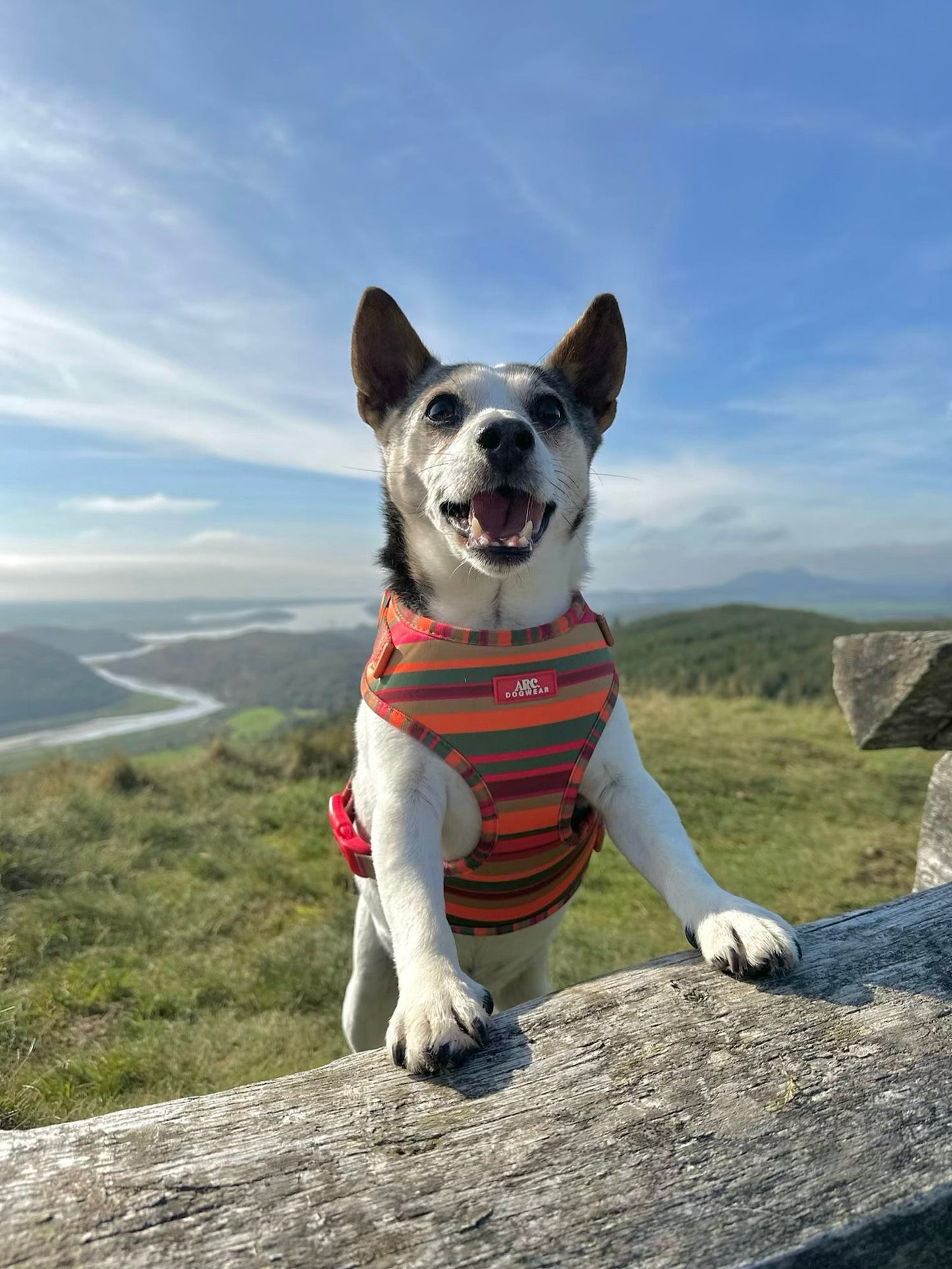 Horizon Adjustable Harness