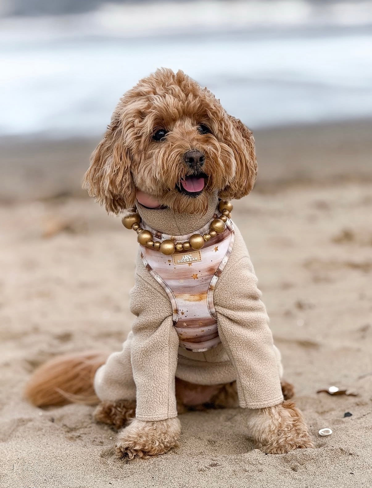 Starlight Adjustable Harness