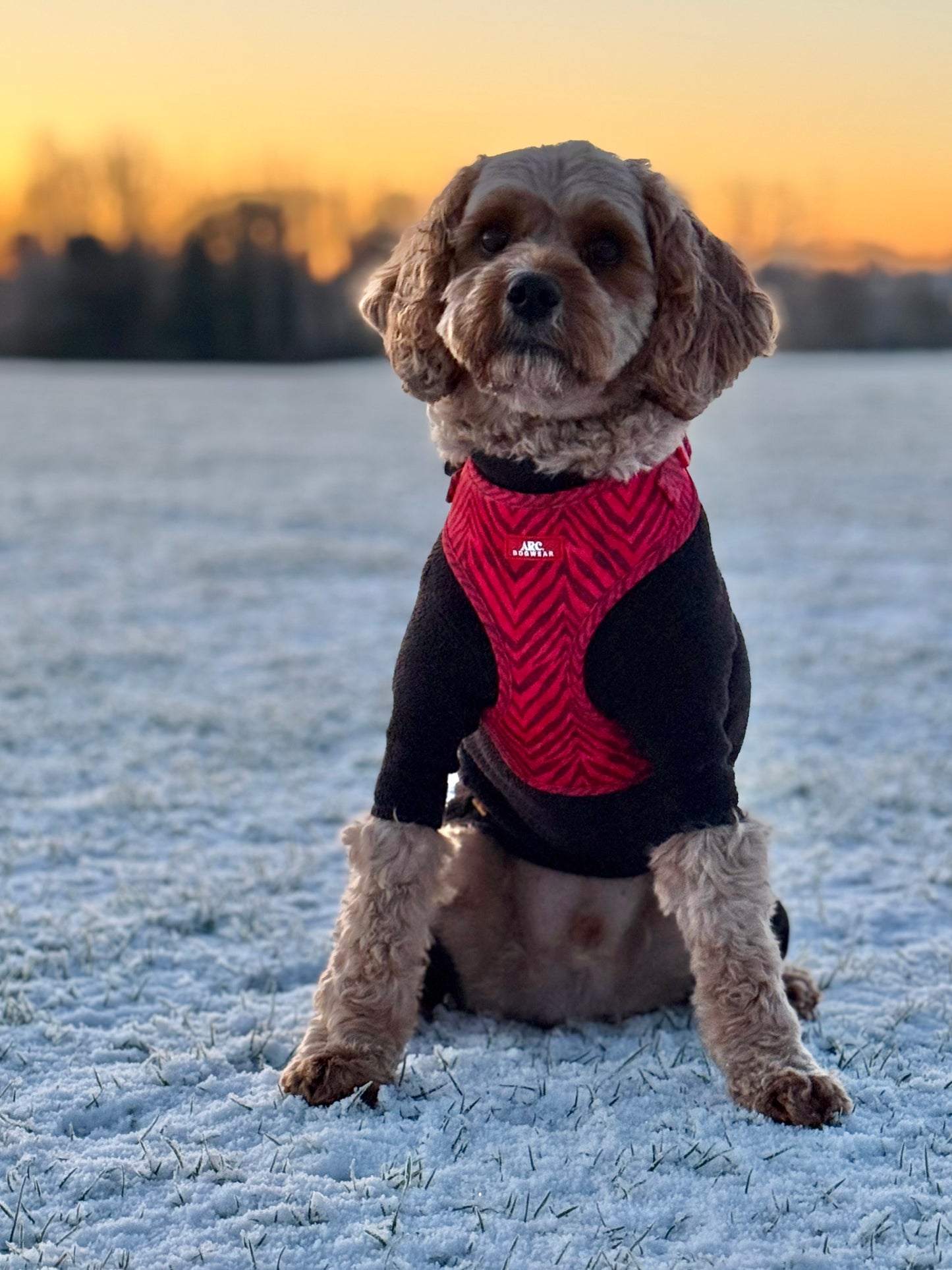 Wild at Heart Adjustable Harness