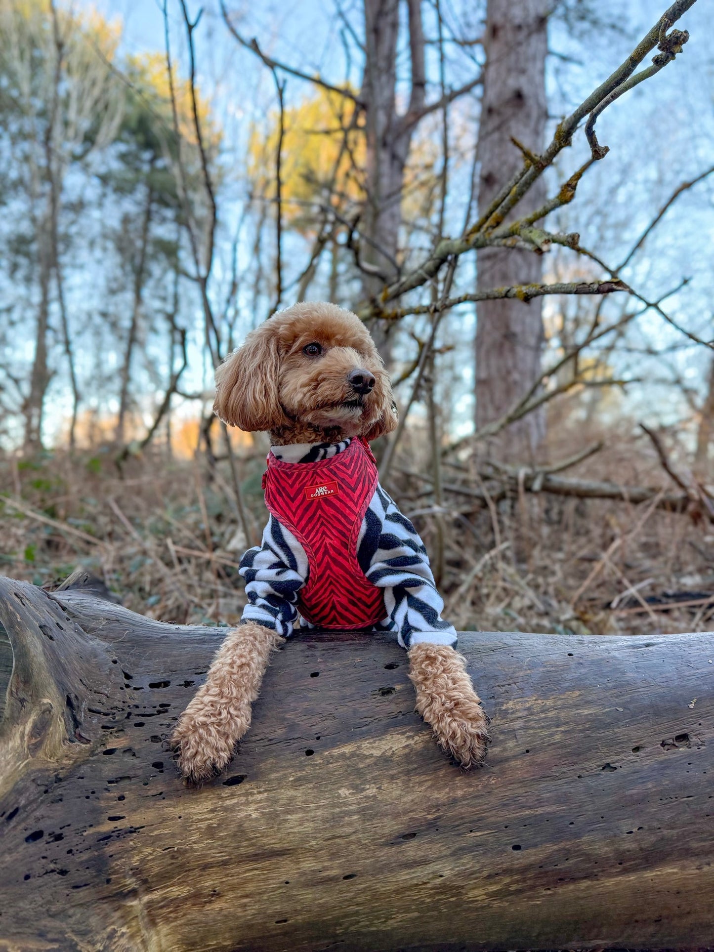 Wild at Heart Adjustable Harness