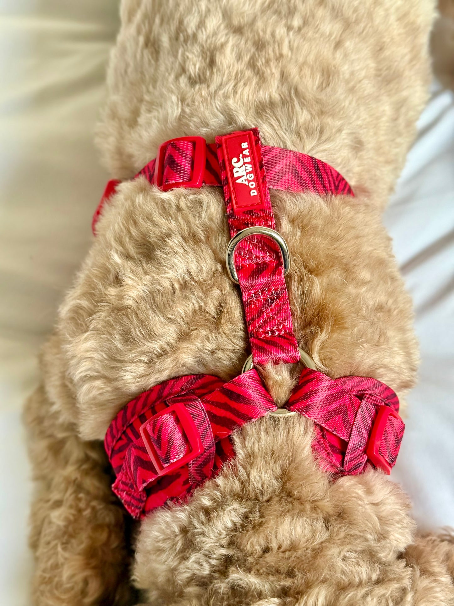 Wild at Heart Adjustable Harness