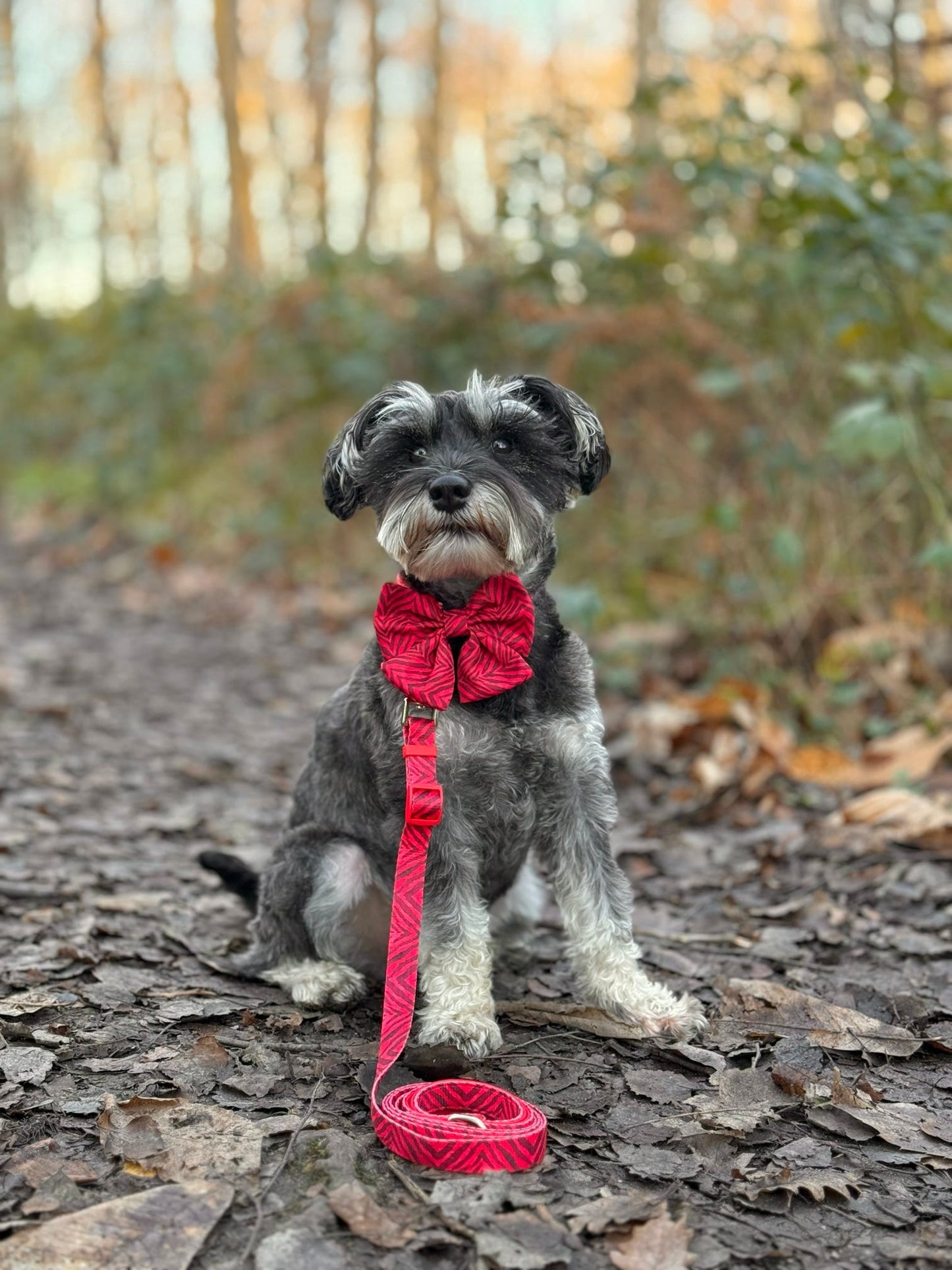 Wild at Heart Adjustable Lead