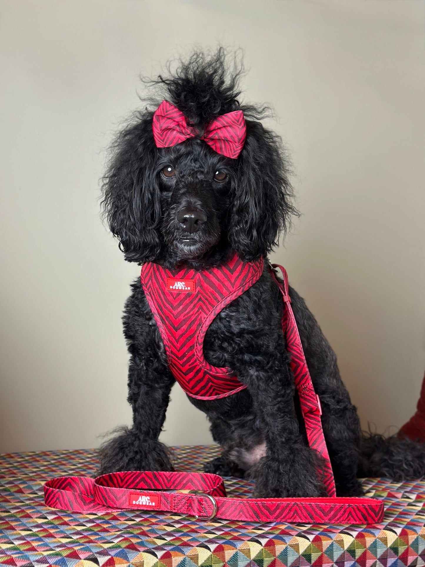 Wild at Heart Adjustable Lead