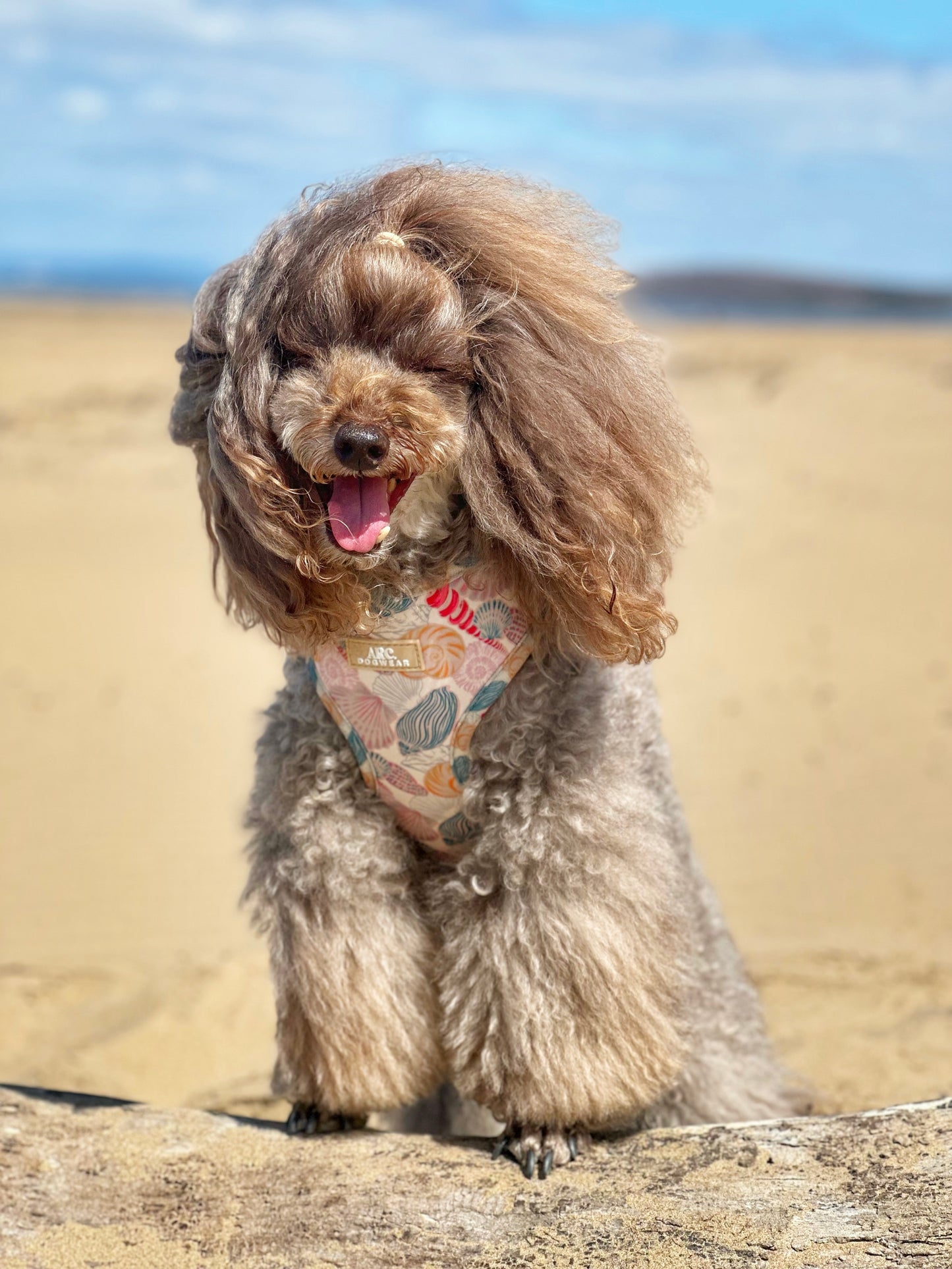 Say-Shells Adjustable Harness