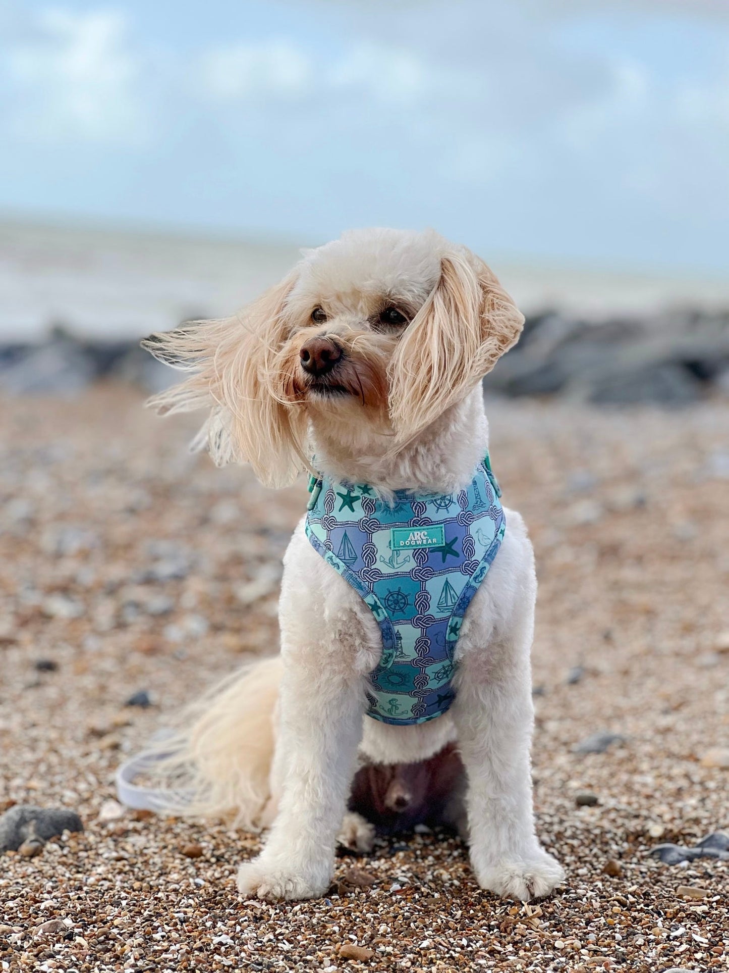 Sea-La-Vie Adjustable Harness