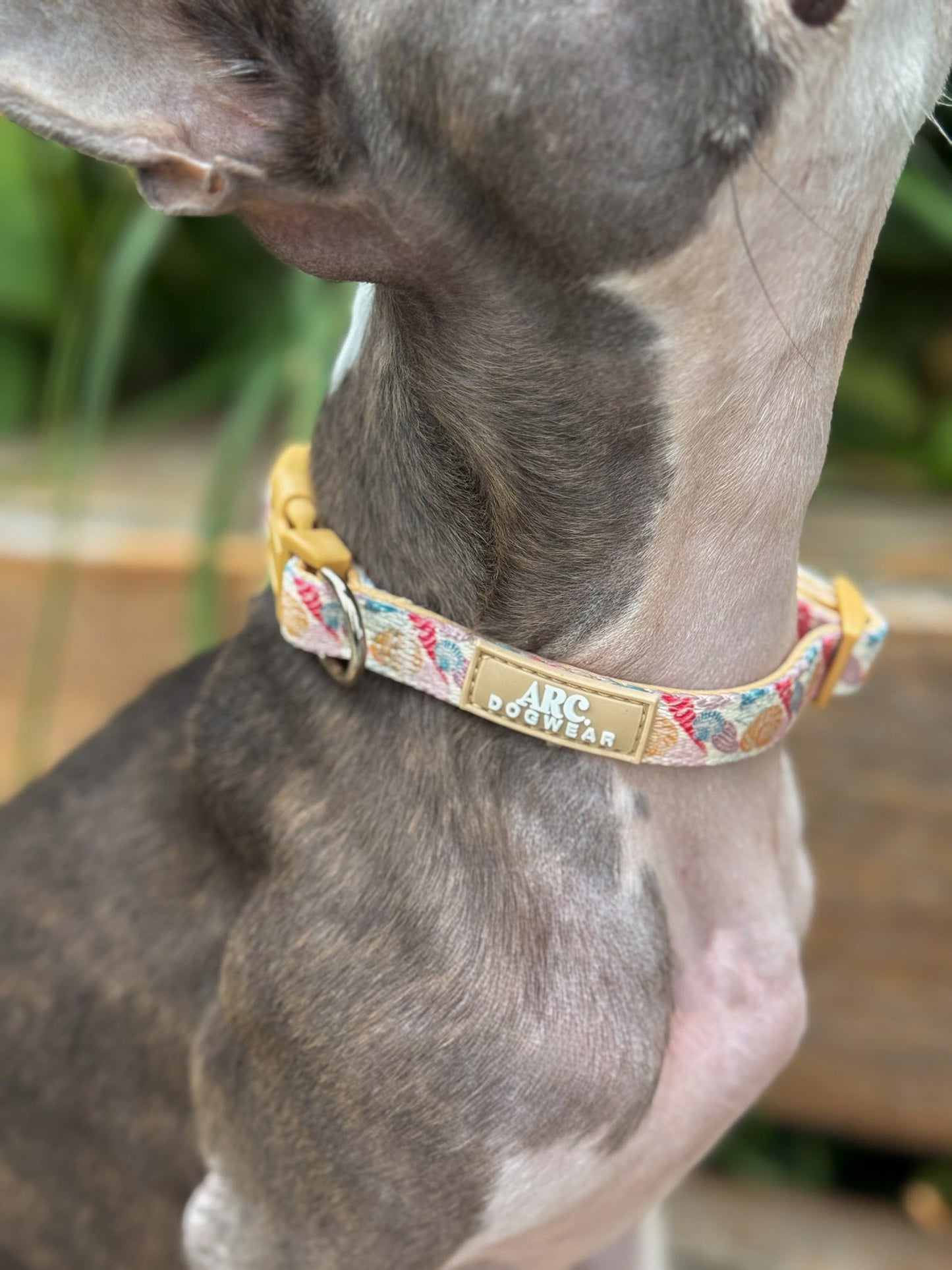 Say-Shells Adjustable Collar