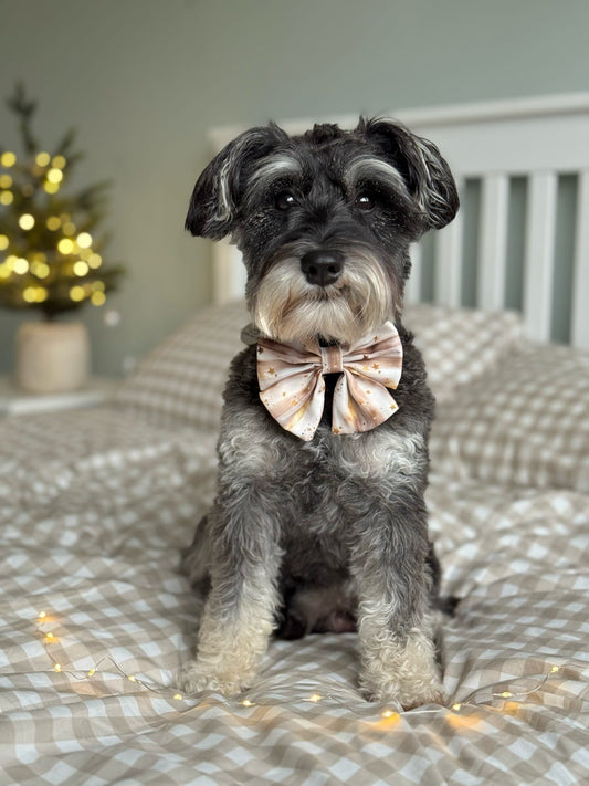 Starlight Sailor Bow