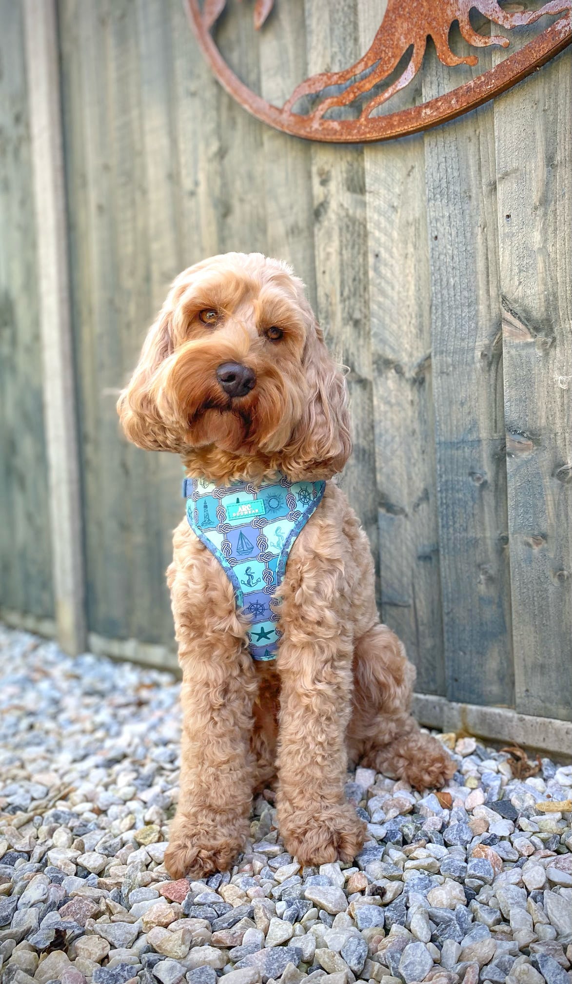 Sea-La-Vie Adjustable Harness