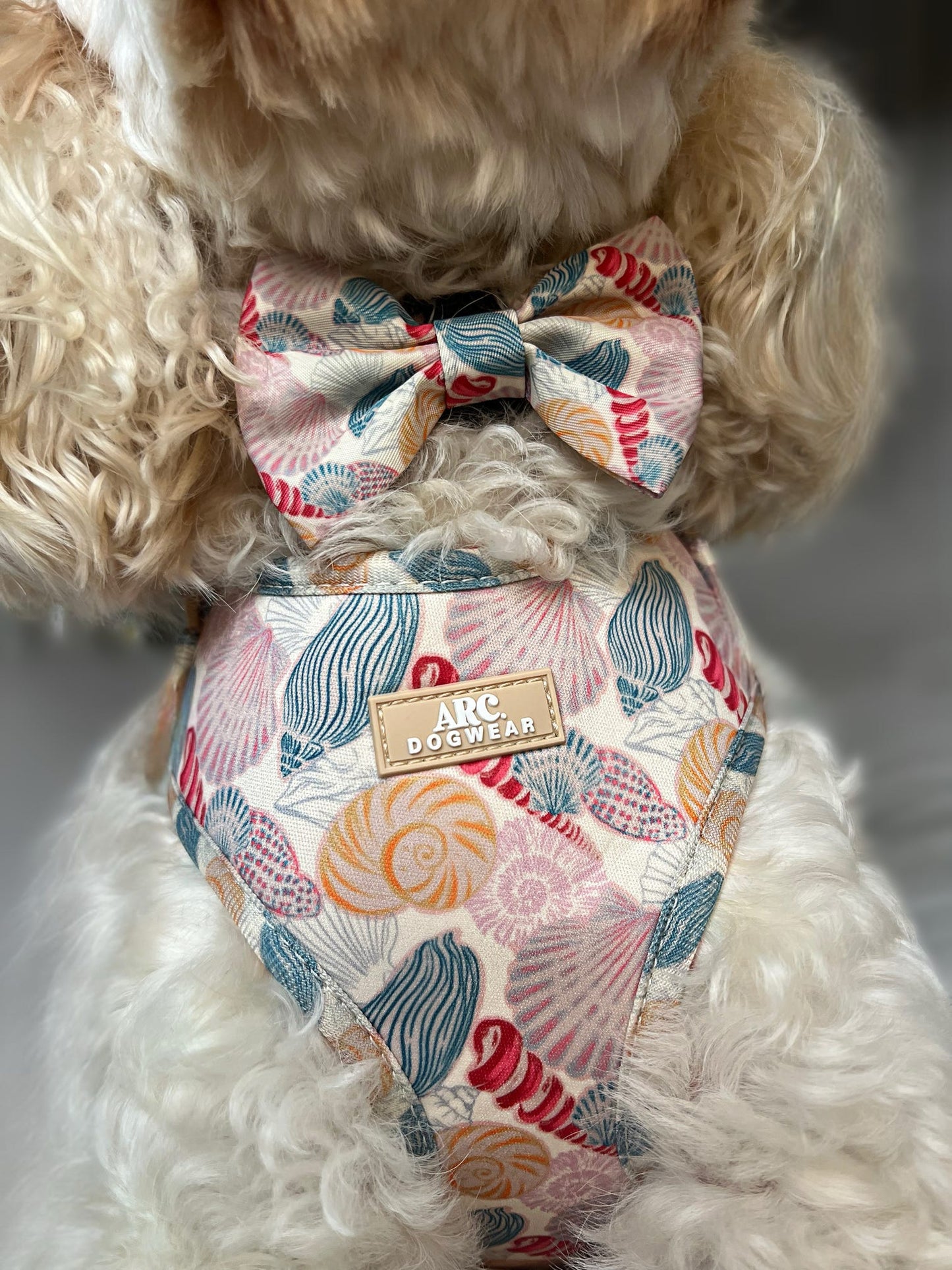 Say-Shells Bow Tie
