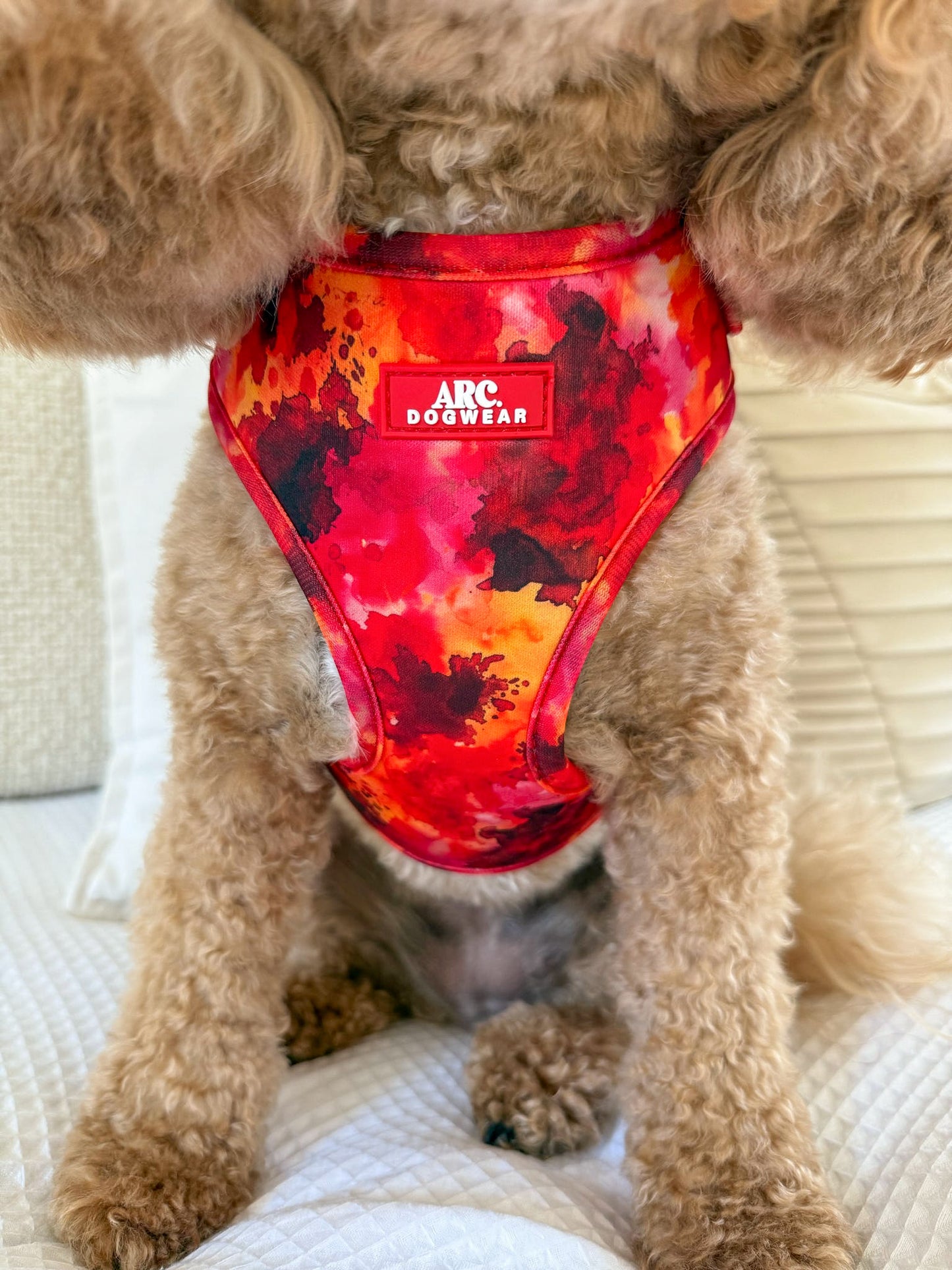 Ember Adjustable Harness